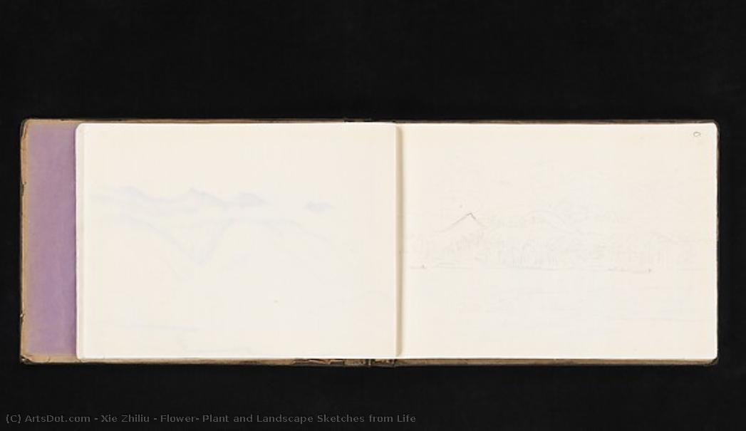 Flower, Plant And Landscape Sketches From Life — Šie Žiliu