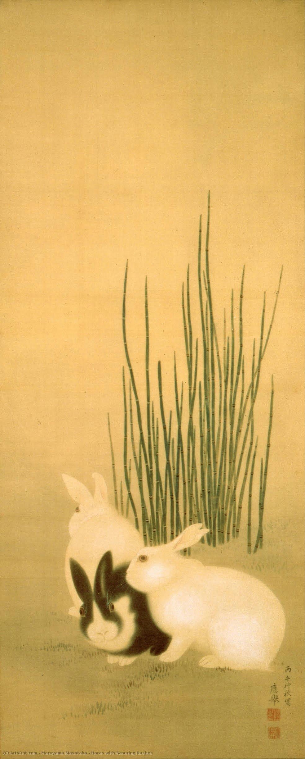 Hares With Scouring Rushes — Maruyama Masataka