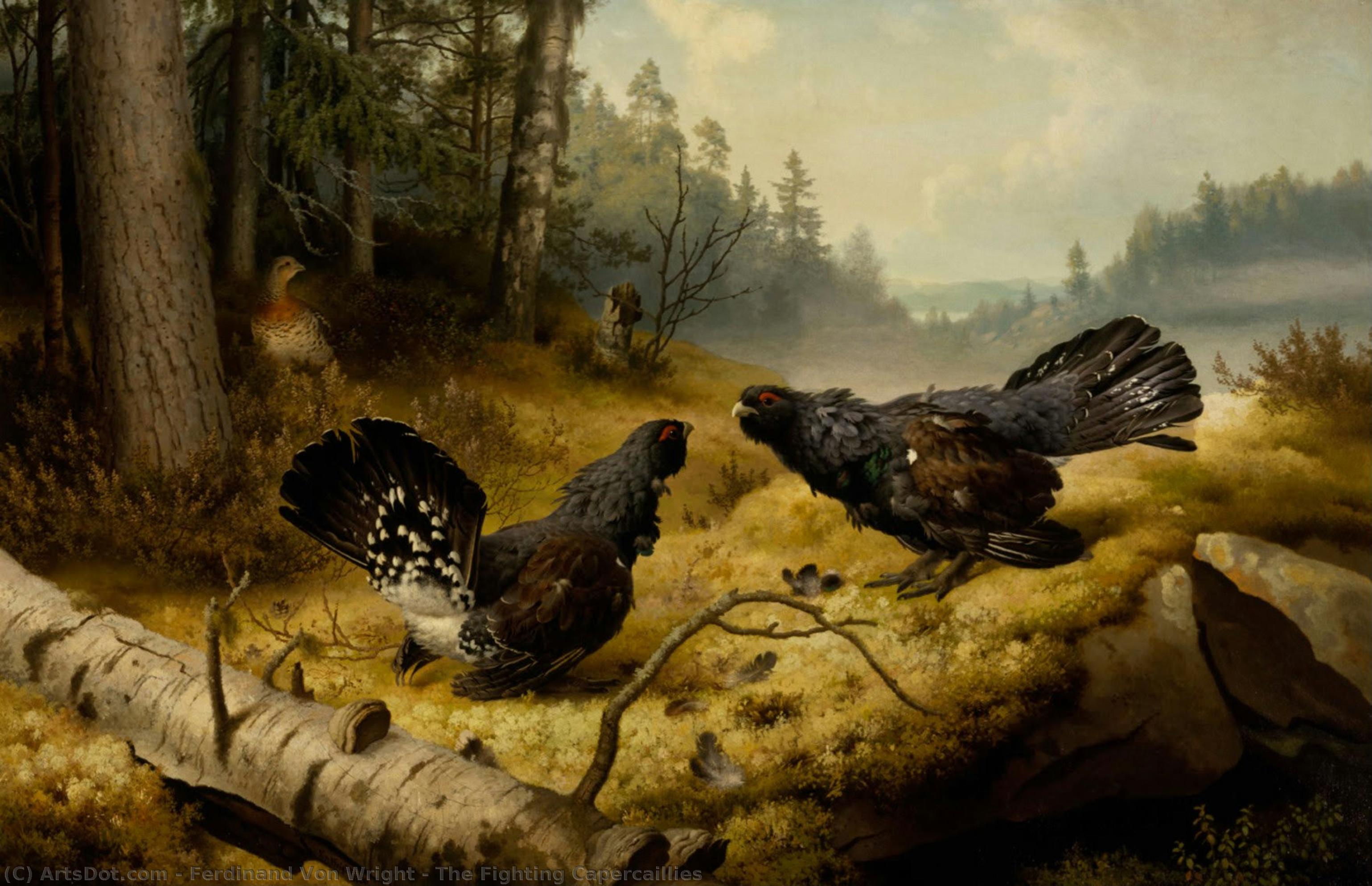 The Fighting Capercaillies — Ferdinand Von Wright