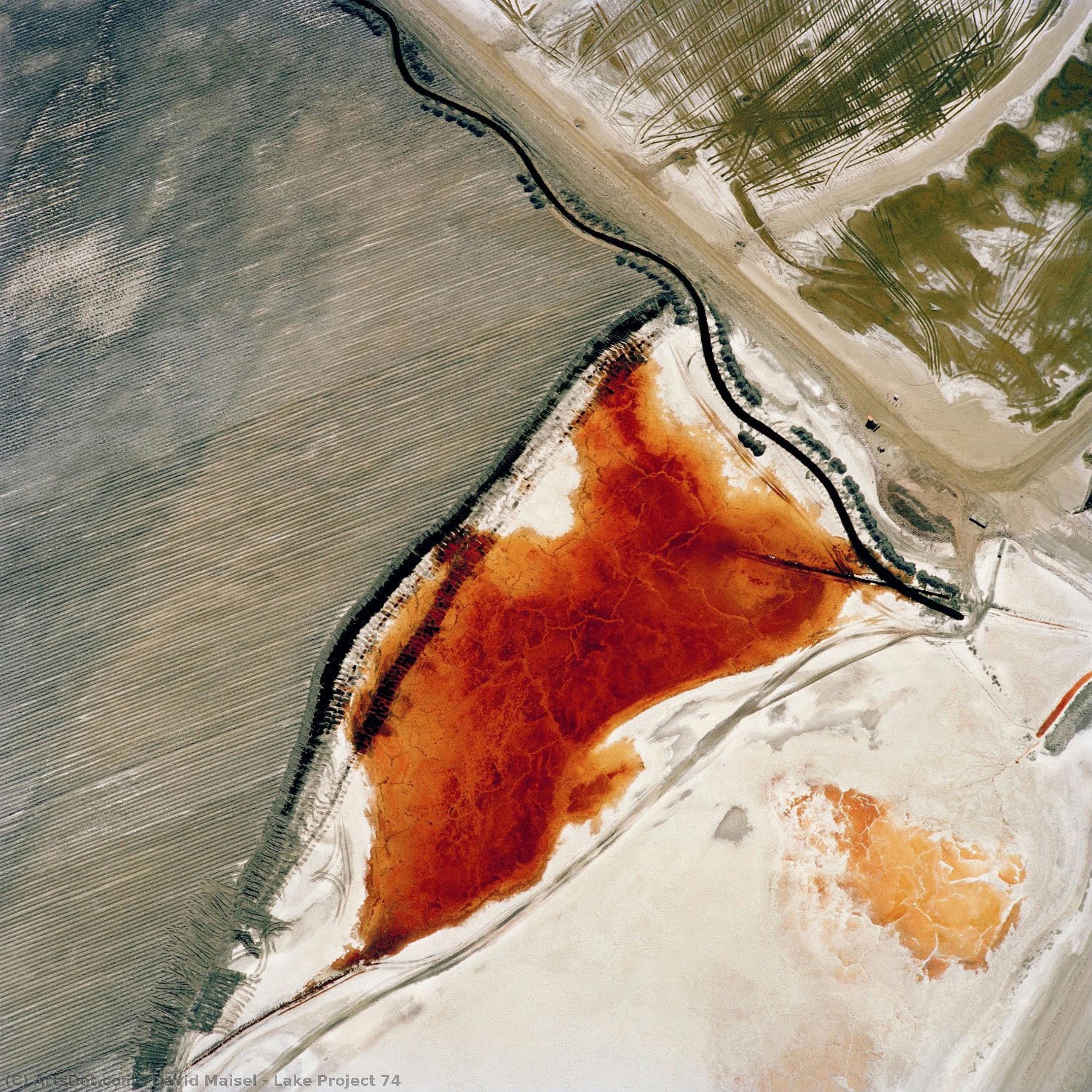 Lake Project 74 — David Maisel