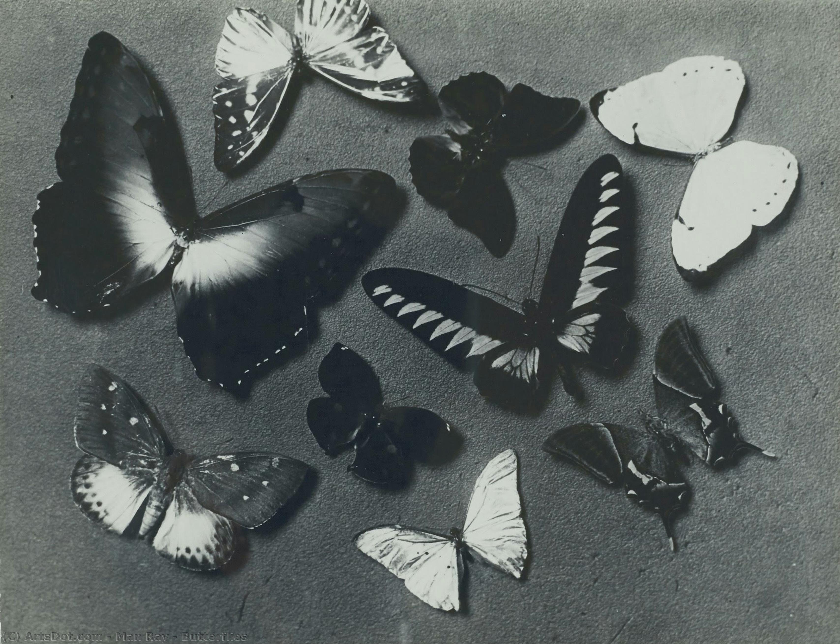 Butterflies — Ман Рей