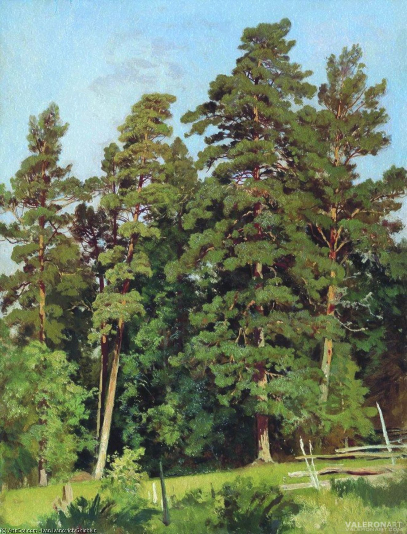 Pine Forest (11) — Ivan Ivanovich Shishkin