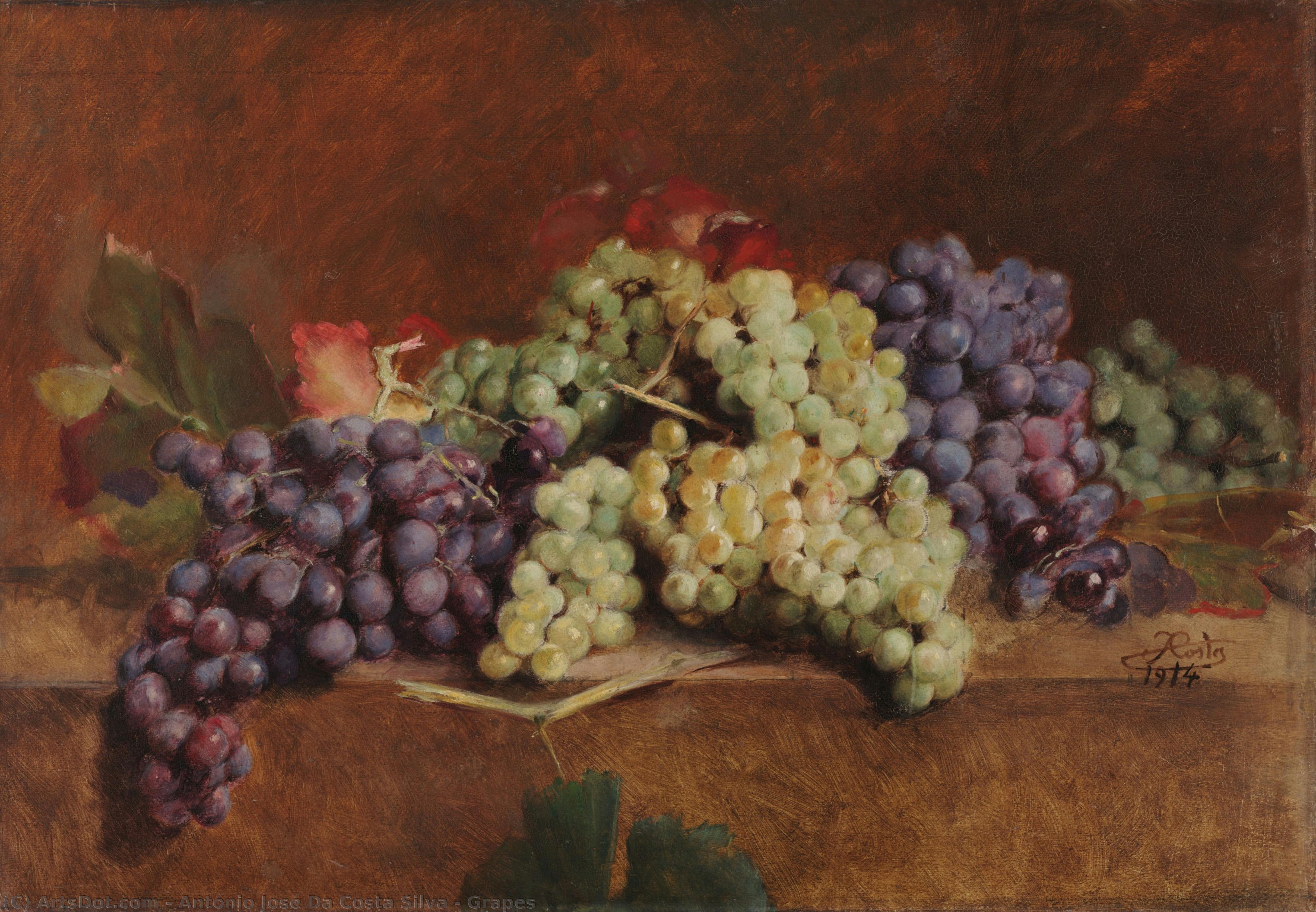 Grapes — António José Da Costa Silva