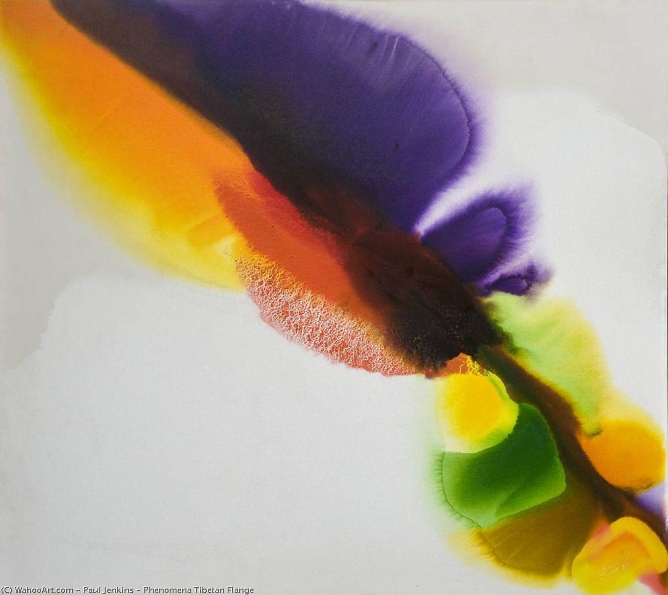 Phenomena Tibetan Flange — Paul Jenkins