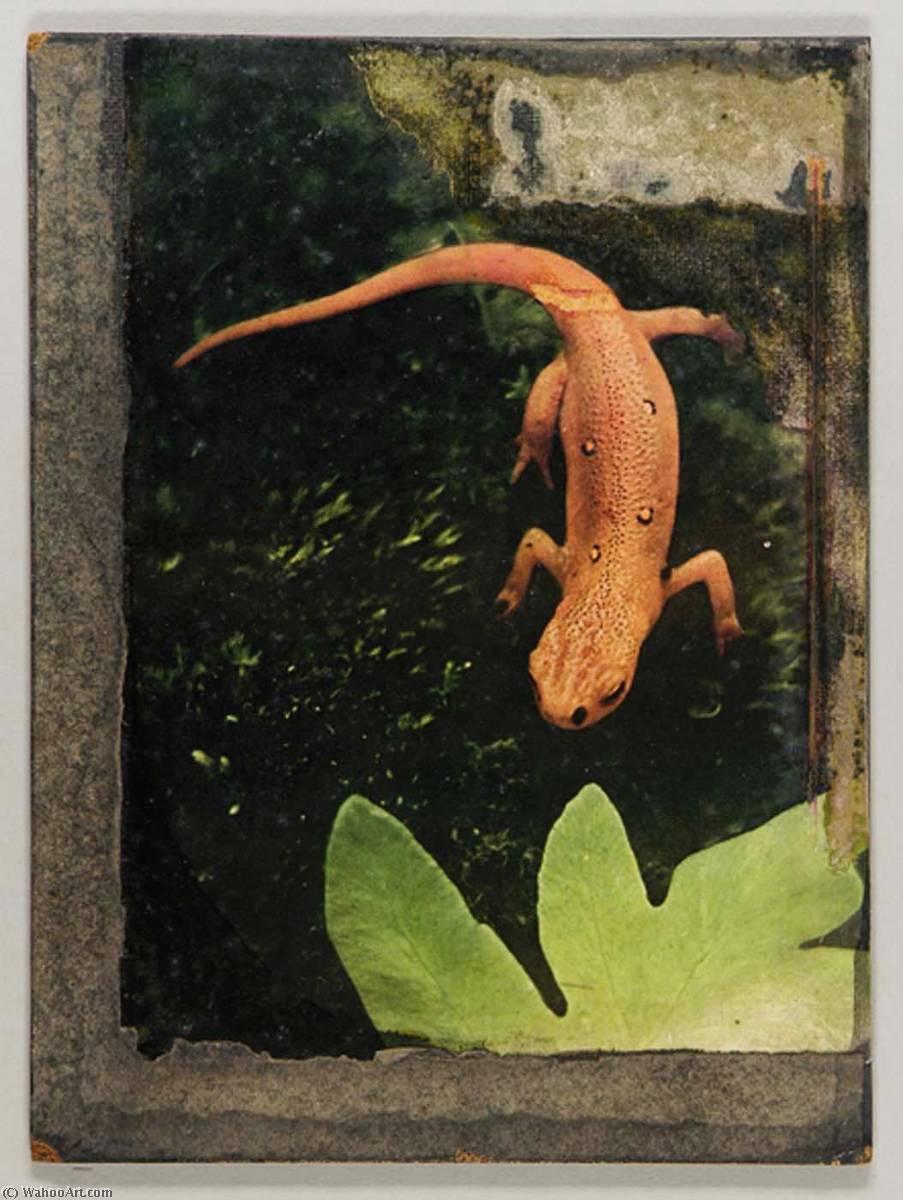 Newton's Newt — Joseph Cornell