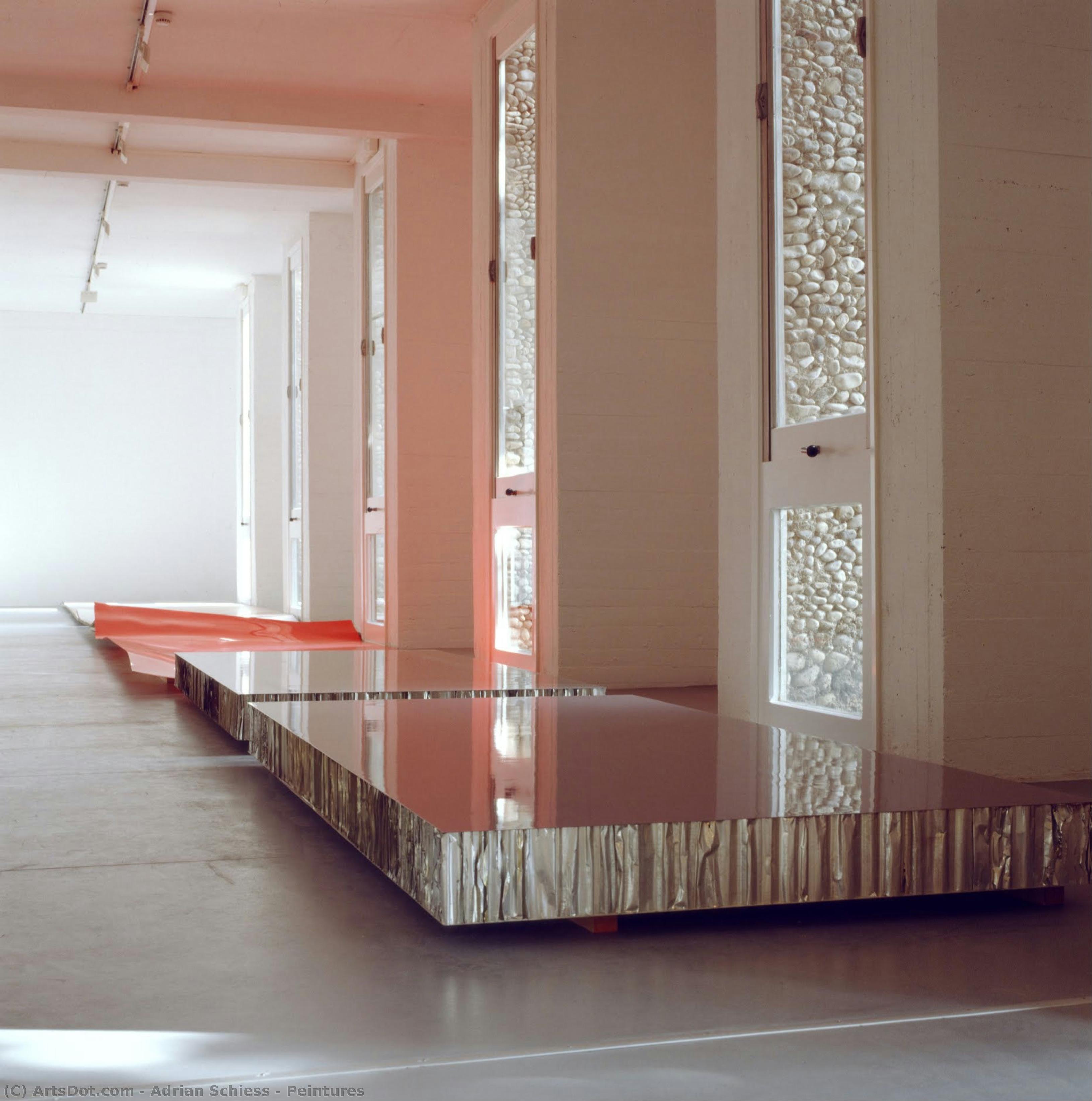 Peintures — Adrian Schiess