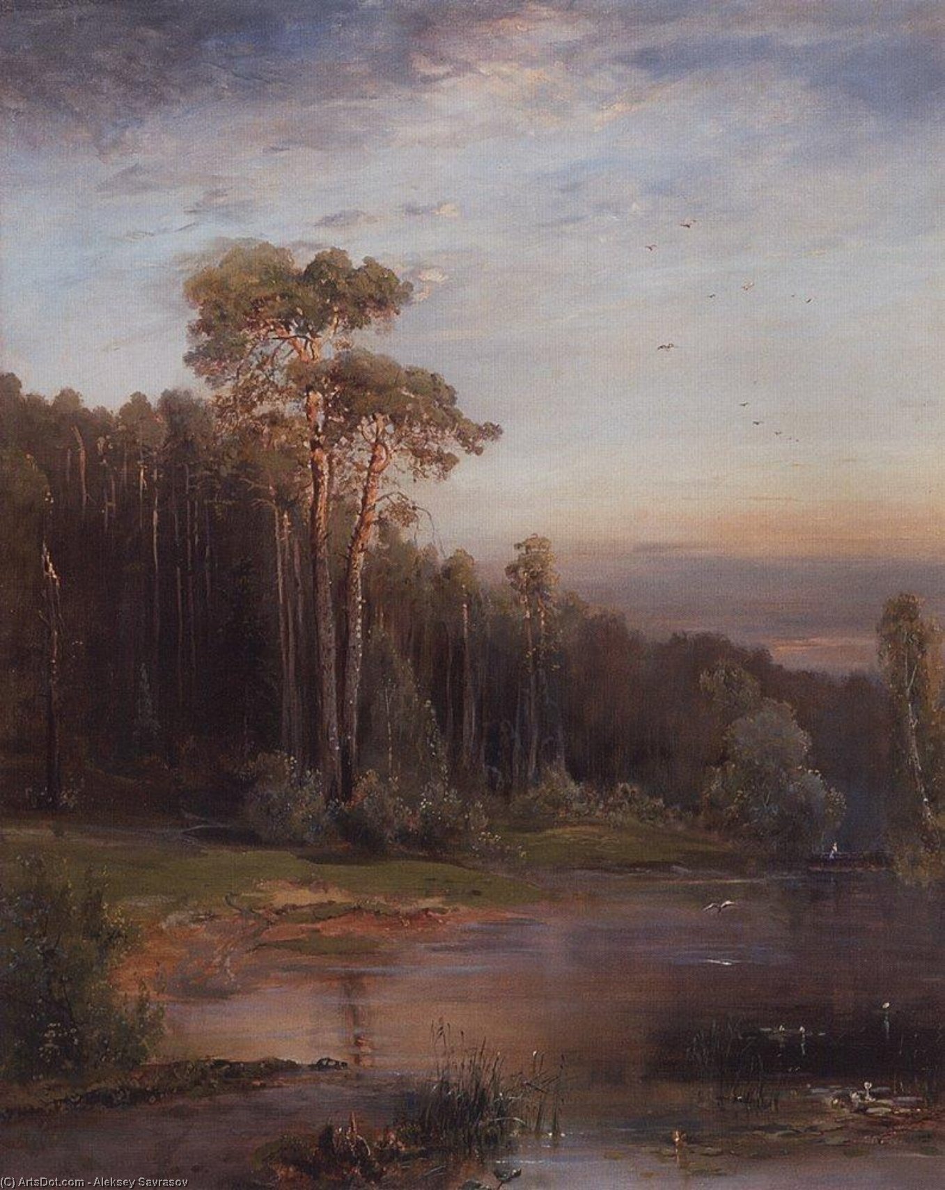 Summer Landscape With Pine Trees Near The River — Aleksej Savrasov