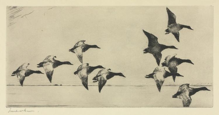 Canvasbacks — Frank Weston Benson