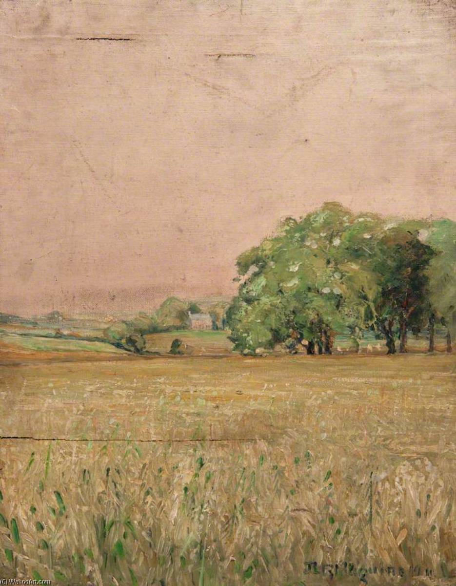 Country In Summer — John Elliot Maguire