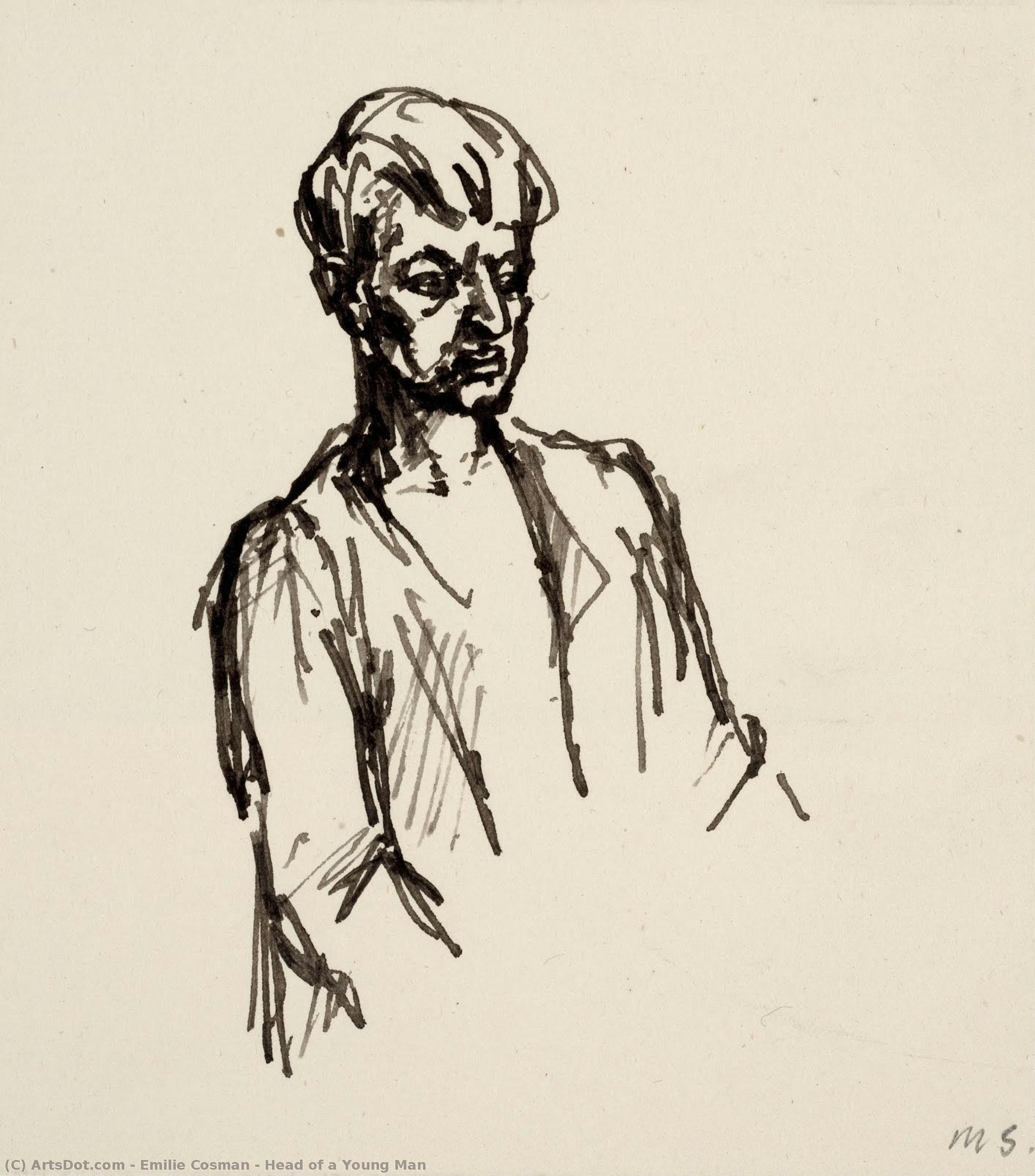 Head Of A Young Man — Emilie Cosman