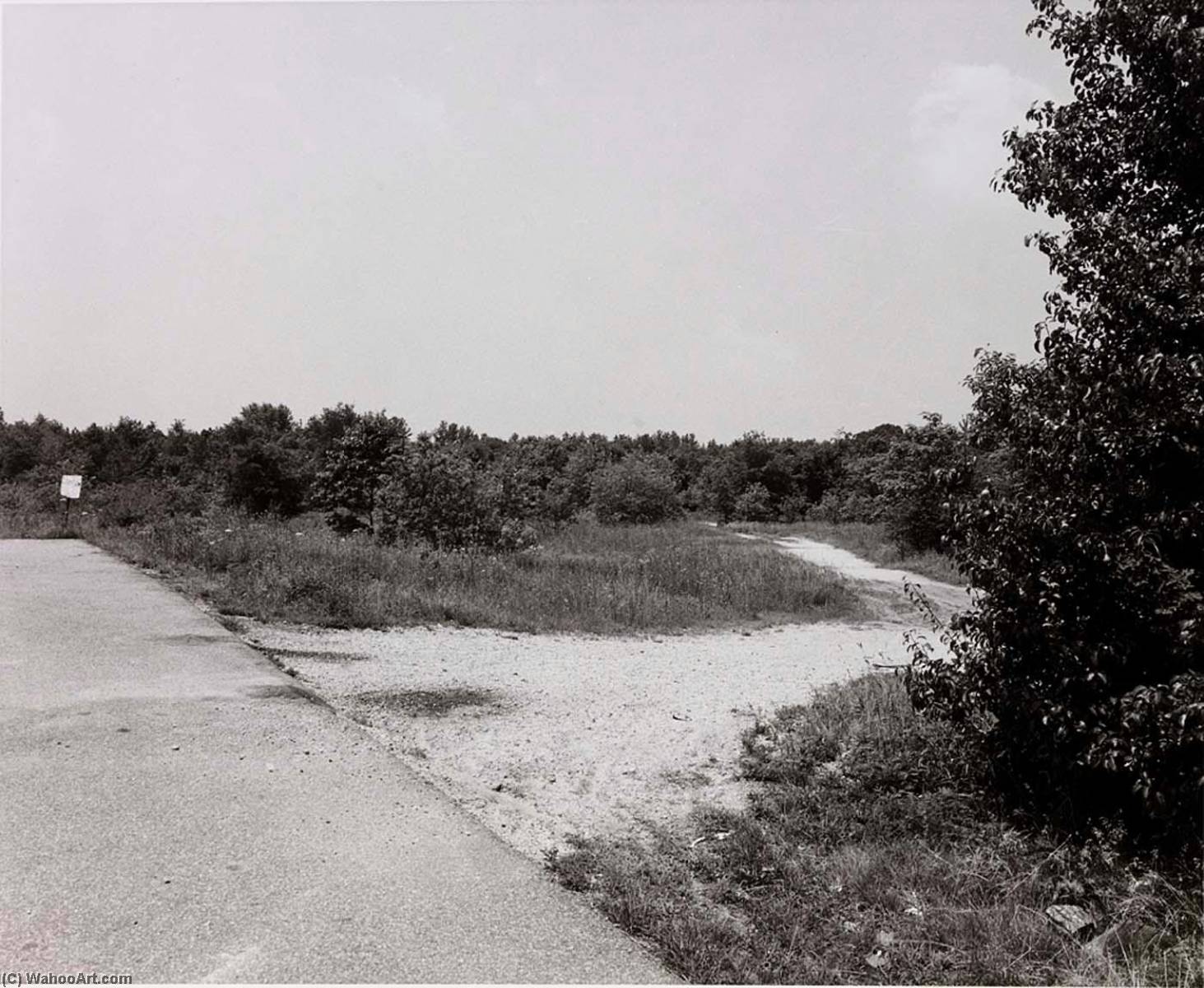 Untitled, From The Series The Pond — John Ralph Gossage