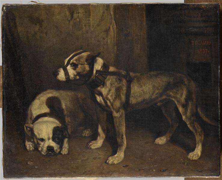 Bouledogue Et Terrier Ecossais — Александер Габријел Декамп