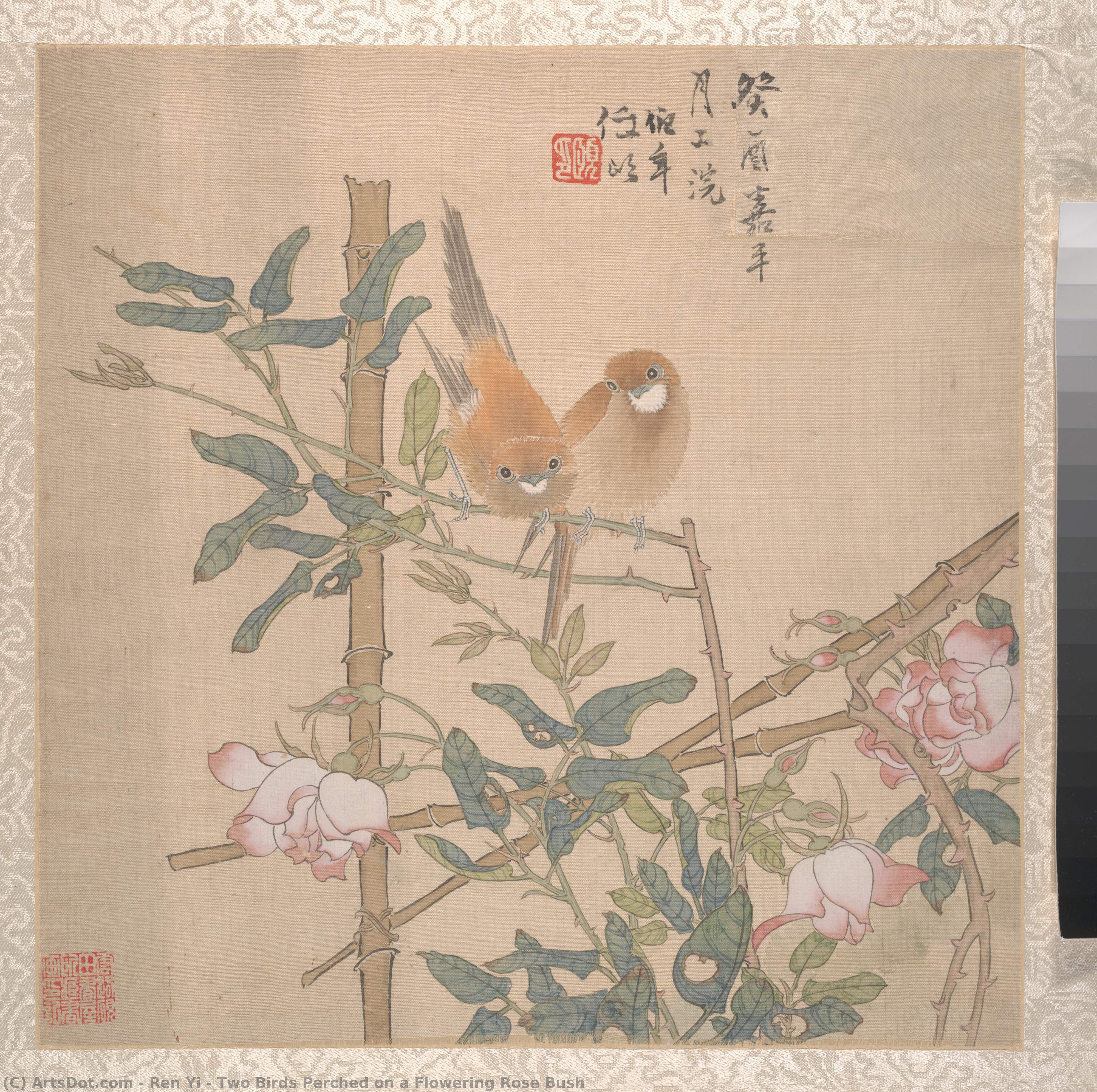 Two Birds Perched On A Flowering Rose Bush — Ren Yi