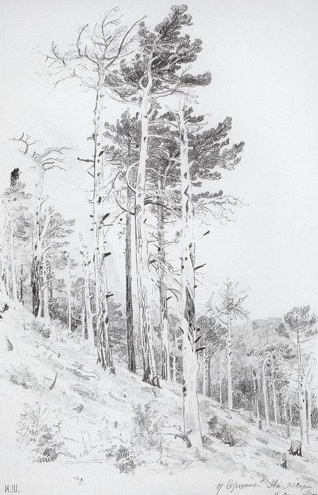 At The Top Of The Ai-petri — Ivan Ivanovich Shishkin