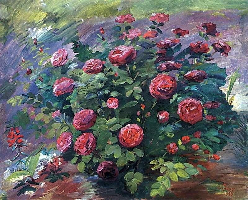 May Roses — Мартирос Сарјан