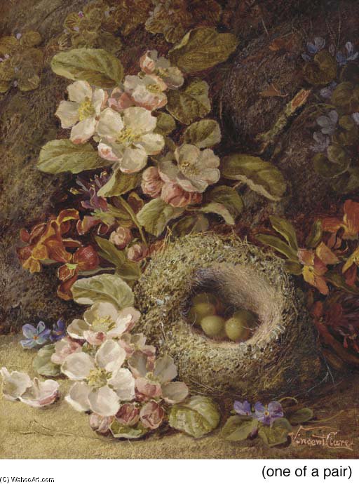 Violets And A Bird's Nest With Eggs On A Mossy Bank — Vincent Clare