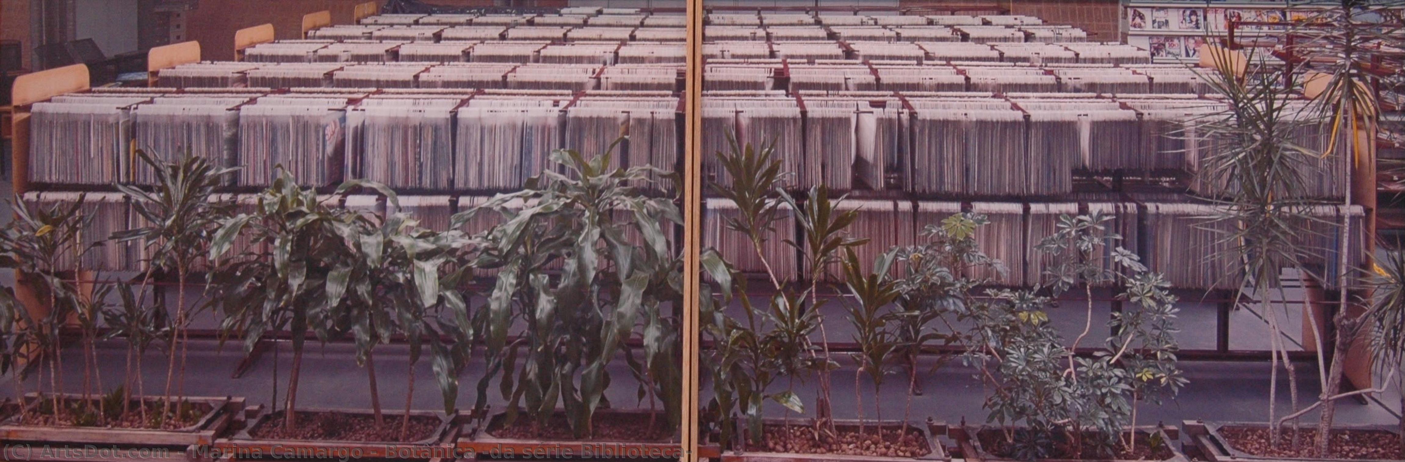Botânica (da Série Biblioteca) — Marina Camargo