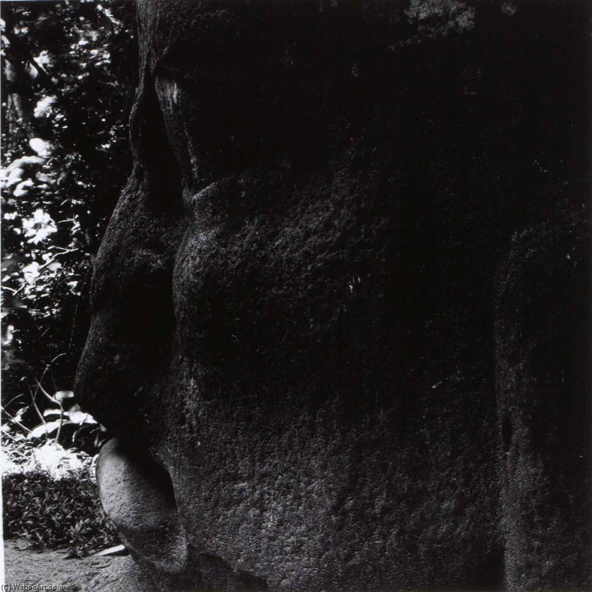 Olmec, Villahermosa 13 — Аарон Сиккинд