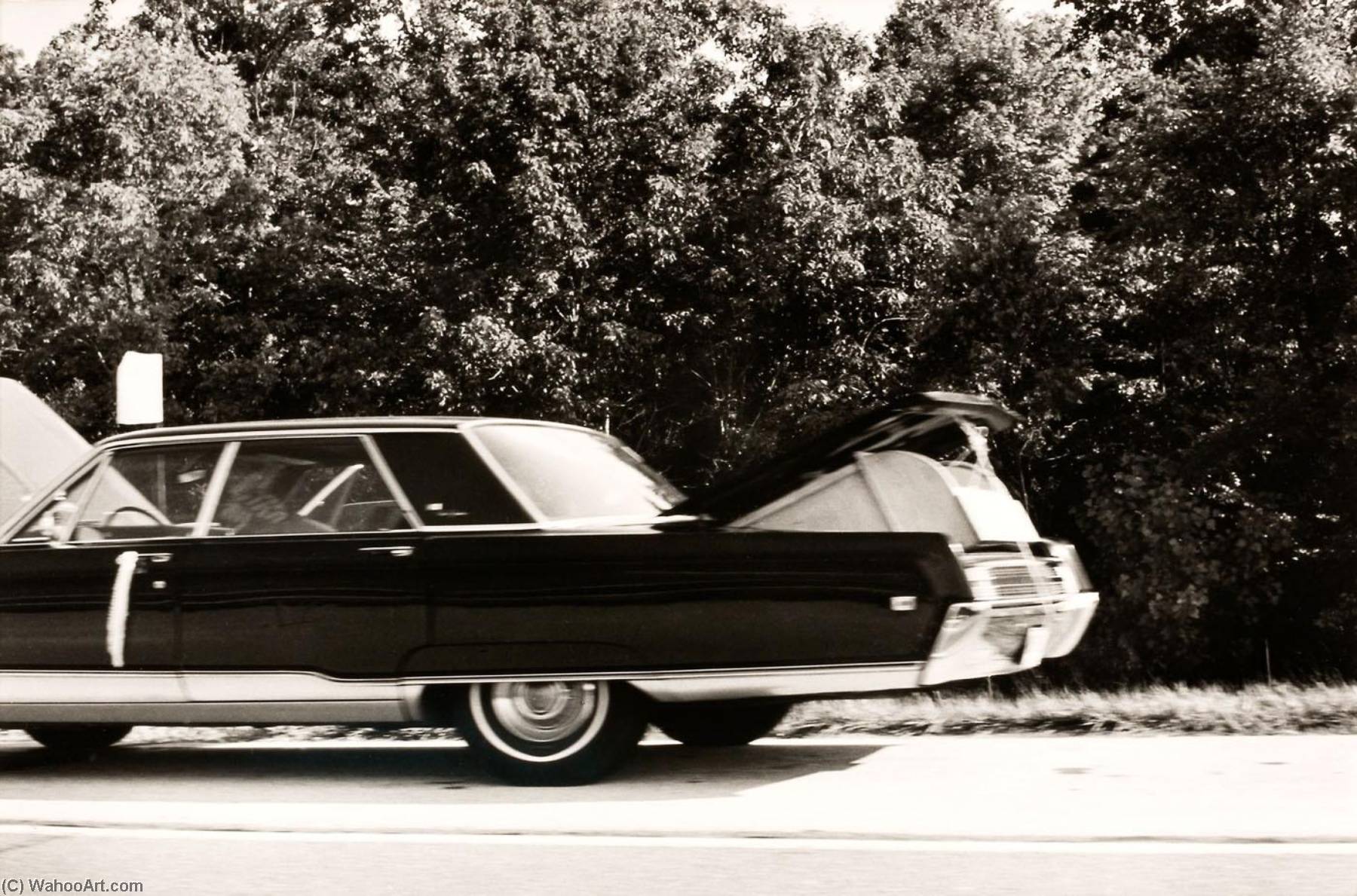 Autolandscape, Indiana — Elaine Mayes