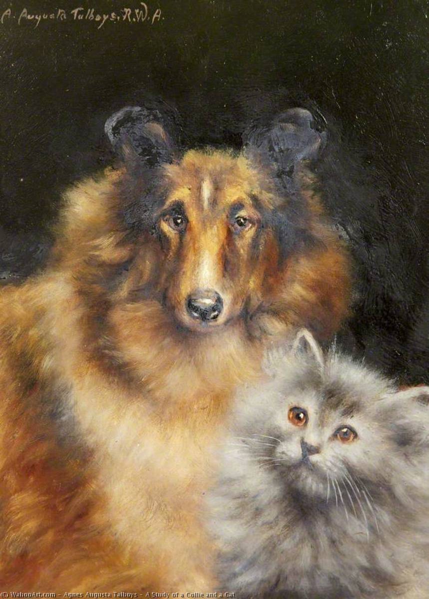 A Study Of A Collie And A Cat — Agnes Augusta Talboys