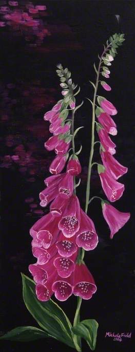 Foxgloves — Michele Elizabeth Field