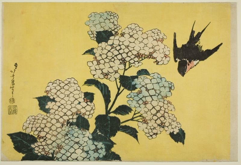 Hydrangea And Swallow — Katsushika Hokusai