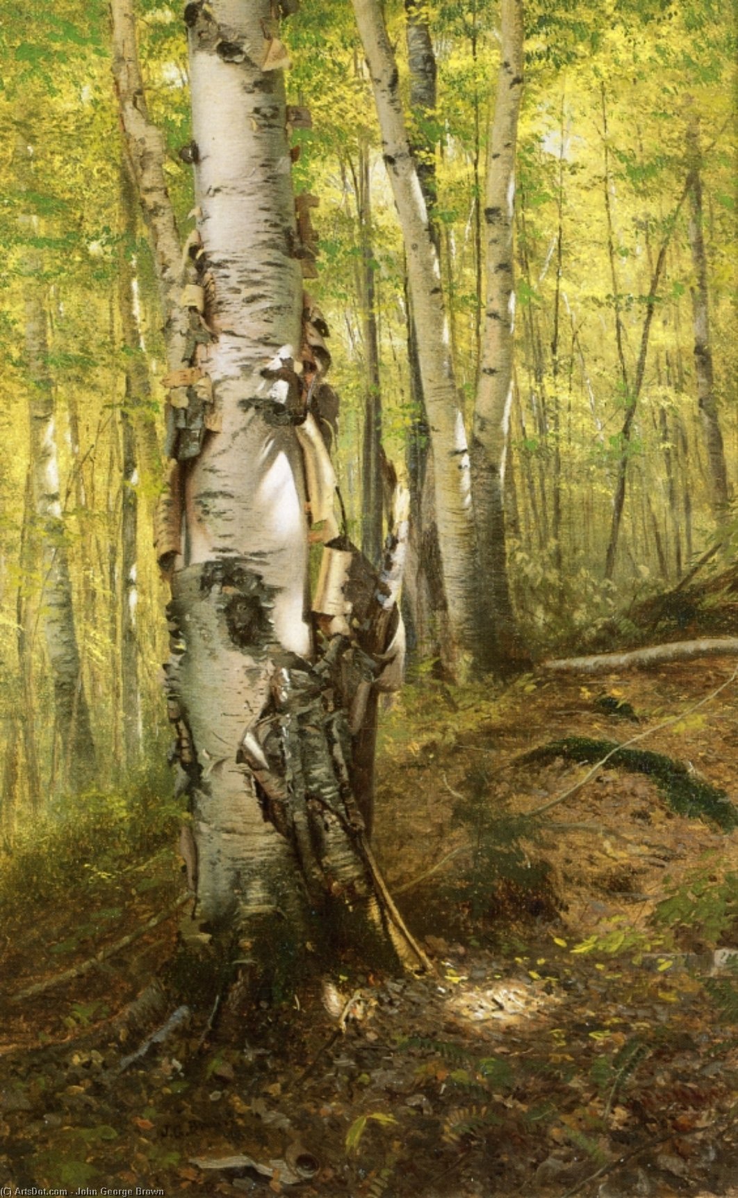 Silver Birches — John George Brown
