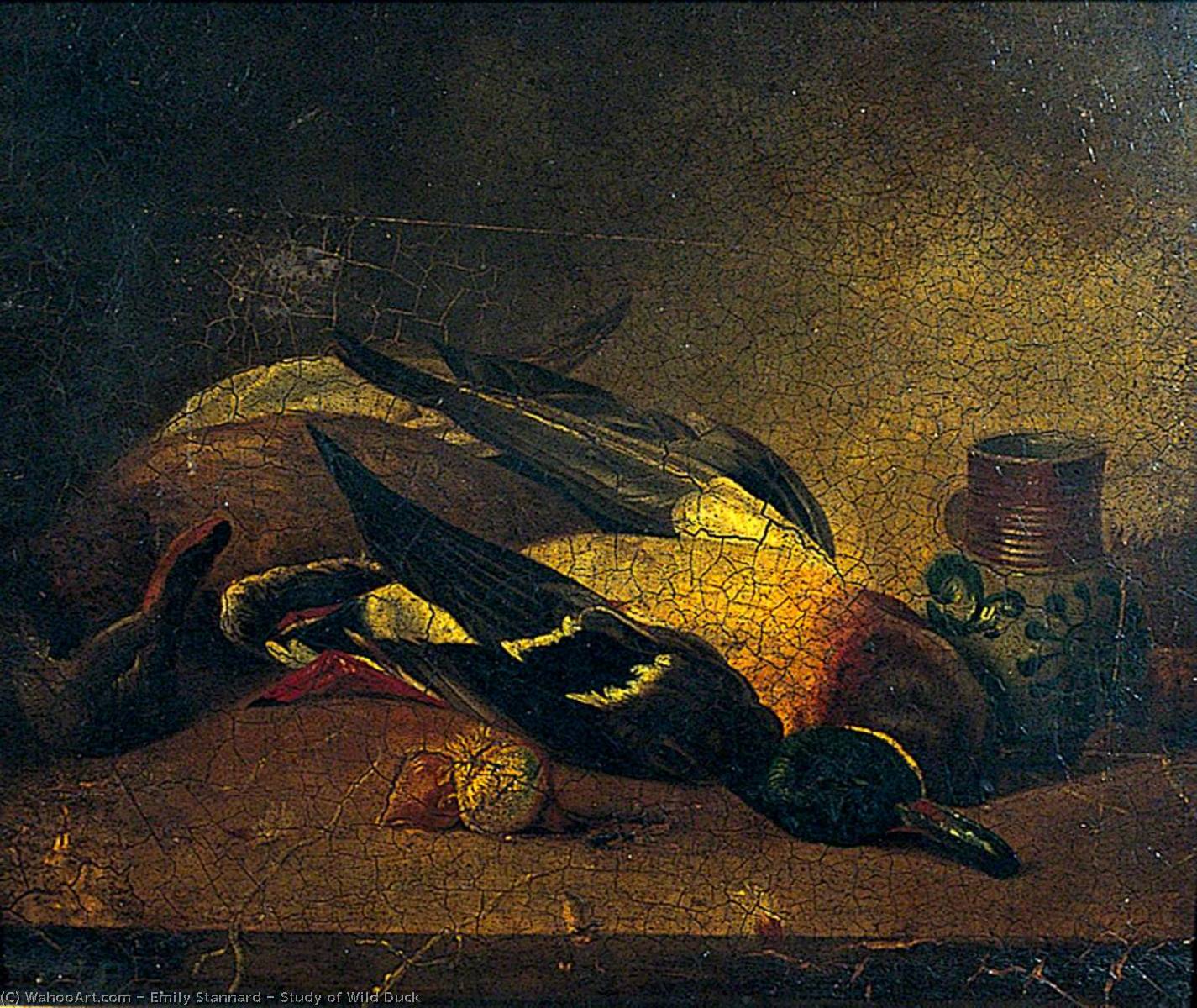 Study Of Wild Duck — Emily Stannard