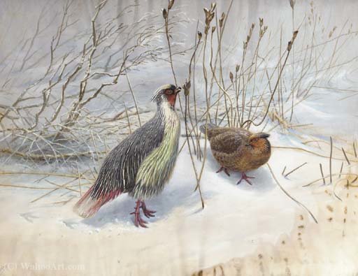 Two Common Blood Pheasants — George Edward Lodge