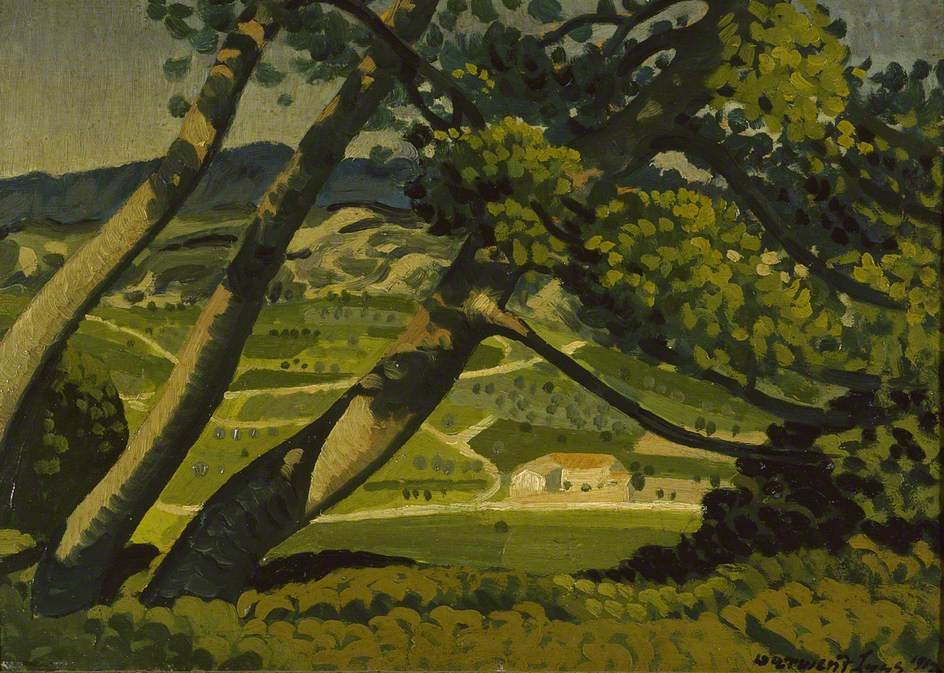 Trees, Provence — Derwent Lees
