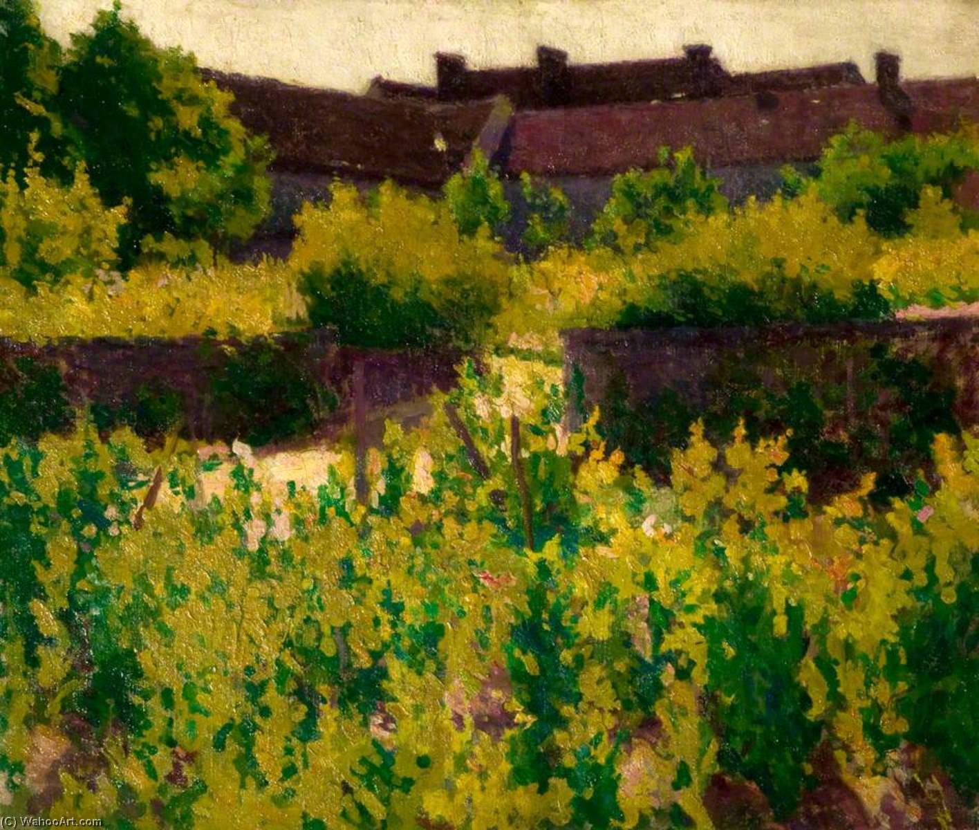 Vineyard — William Tom Warrener