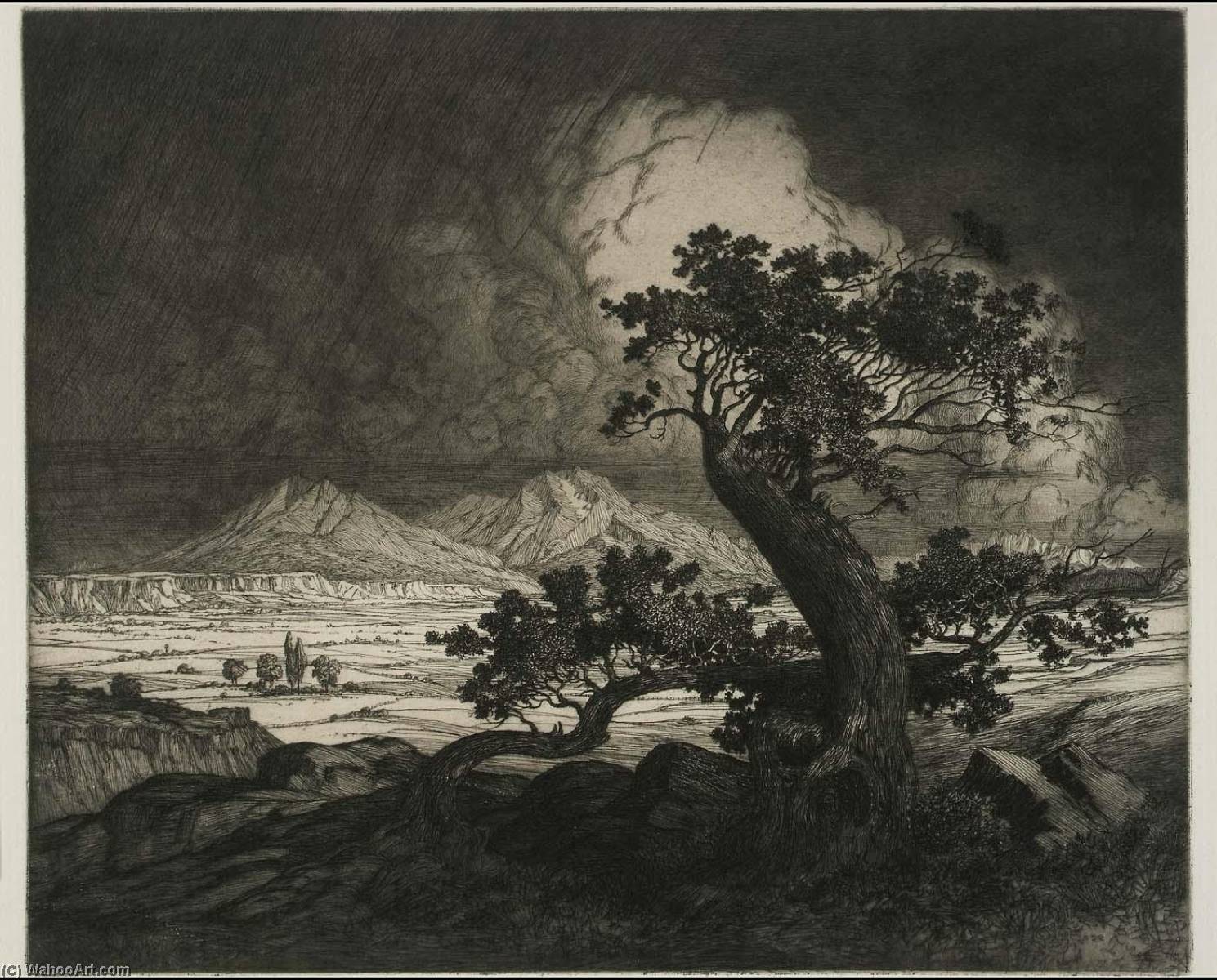 Old Cedars And Spanish Peaks — Джордж Элберт Берр
