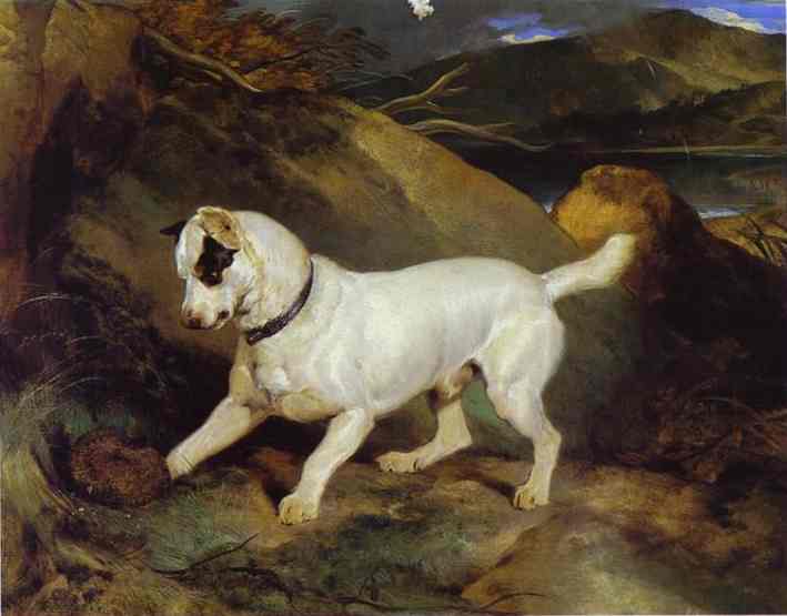 Jocko With A Hedgehog — Sir Edwin Henry Landseer