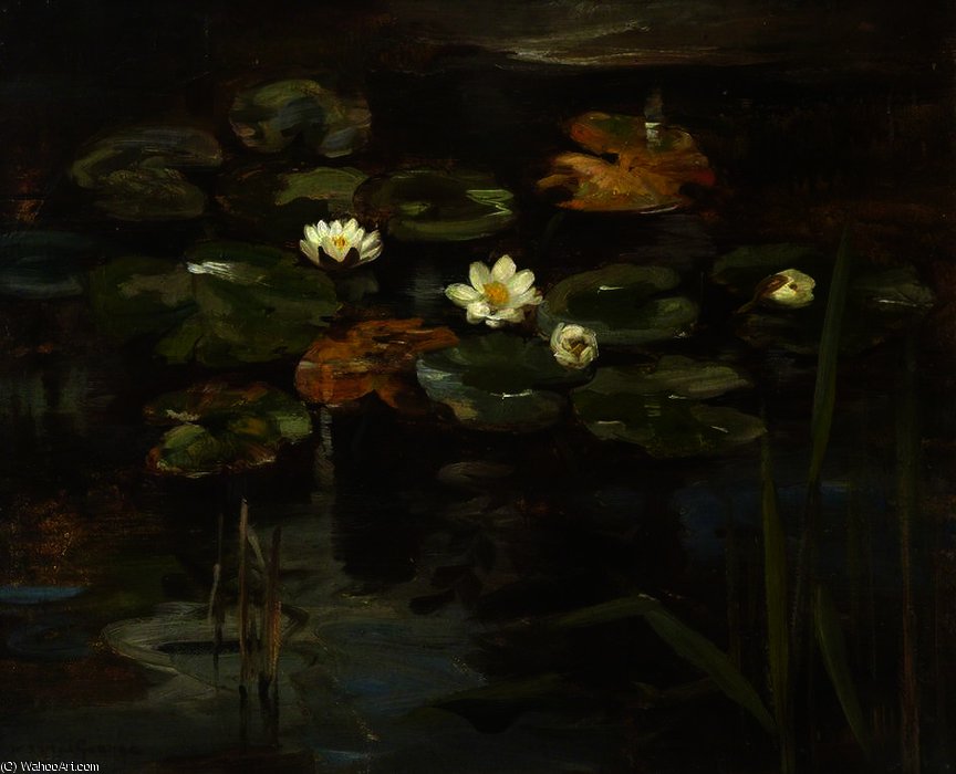 Water Lilies — William Stewart Macgeorge