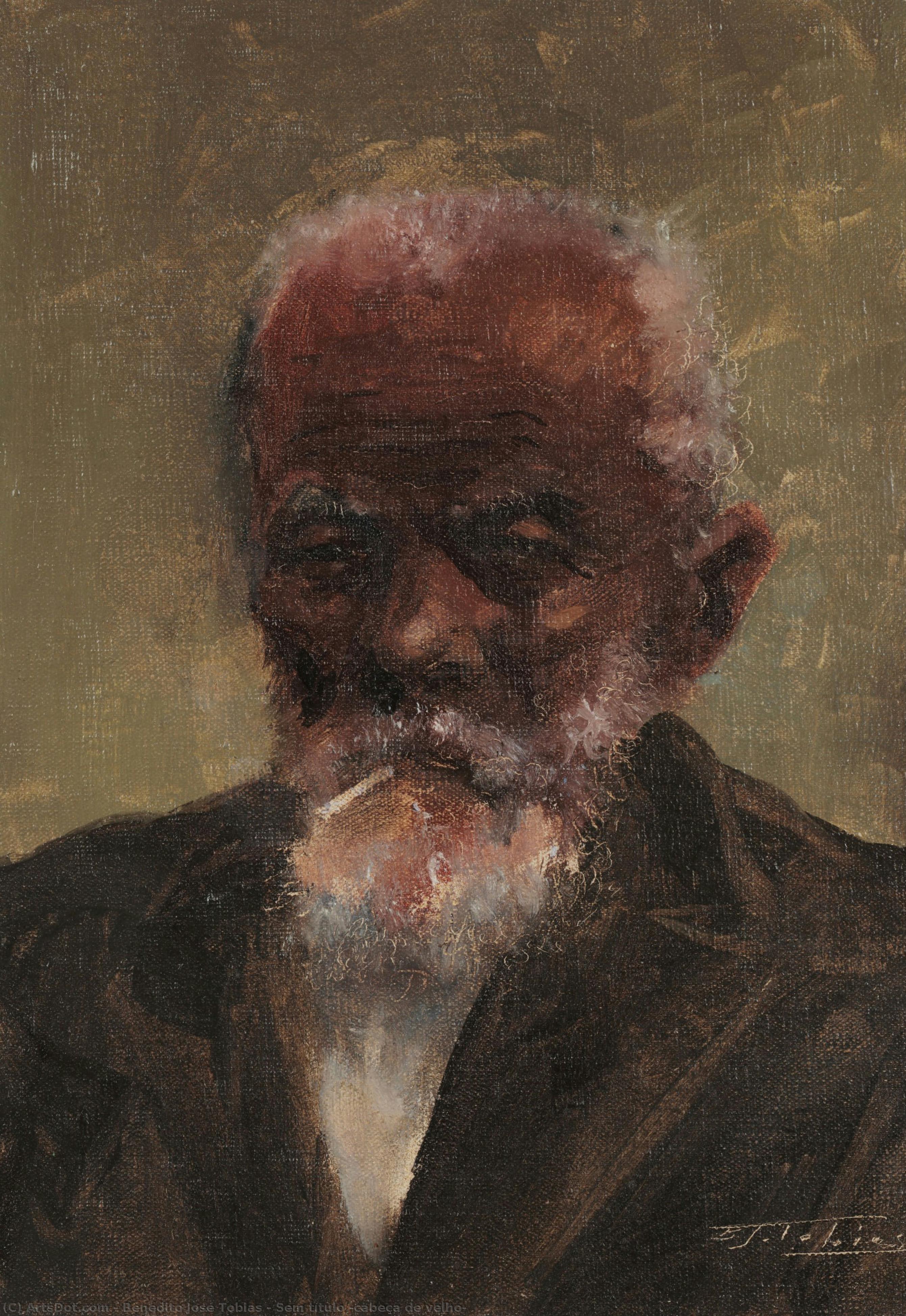 Sem Título (cabeça De Velho) — Benedito José Tobias