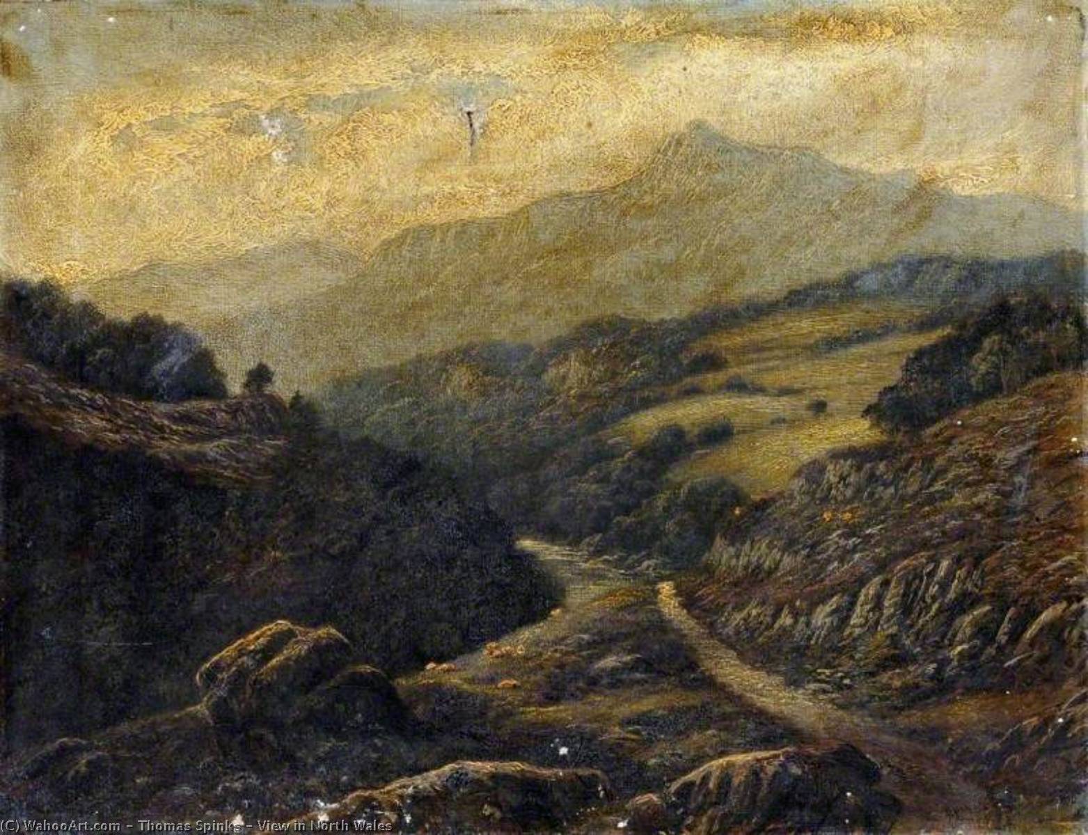 View In North Wales — Thomas Spinks