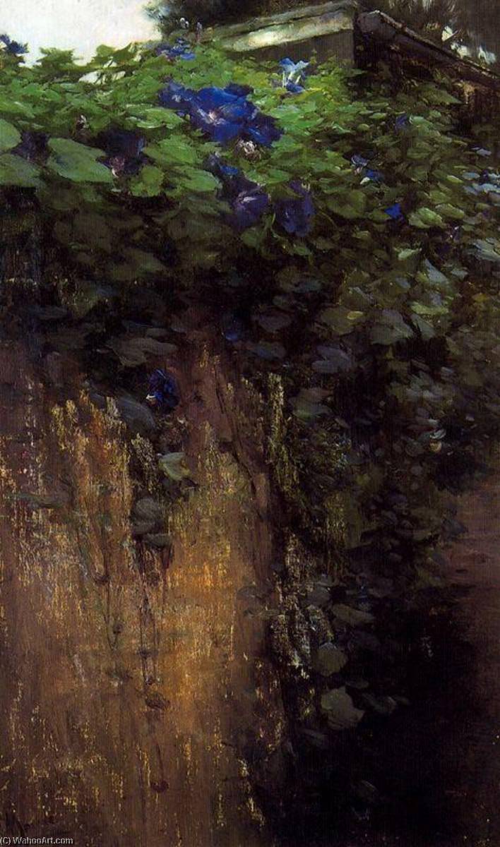 Untitled (aqtqbv) — Jaime Morera Y Galicia
