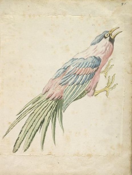 Squawking Bird With Talons Extended To The Right — Jean-baptiste Oudry