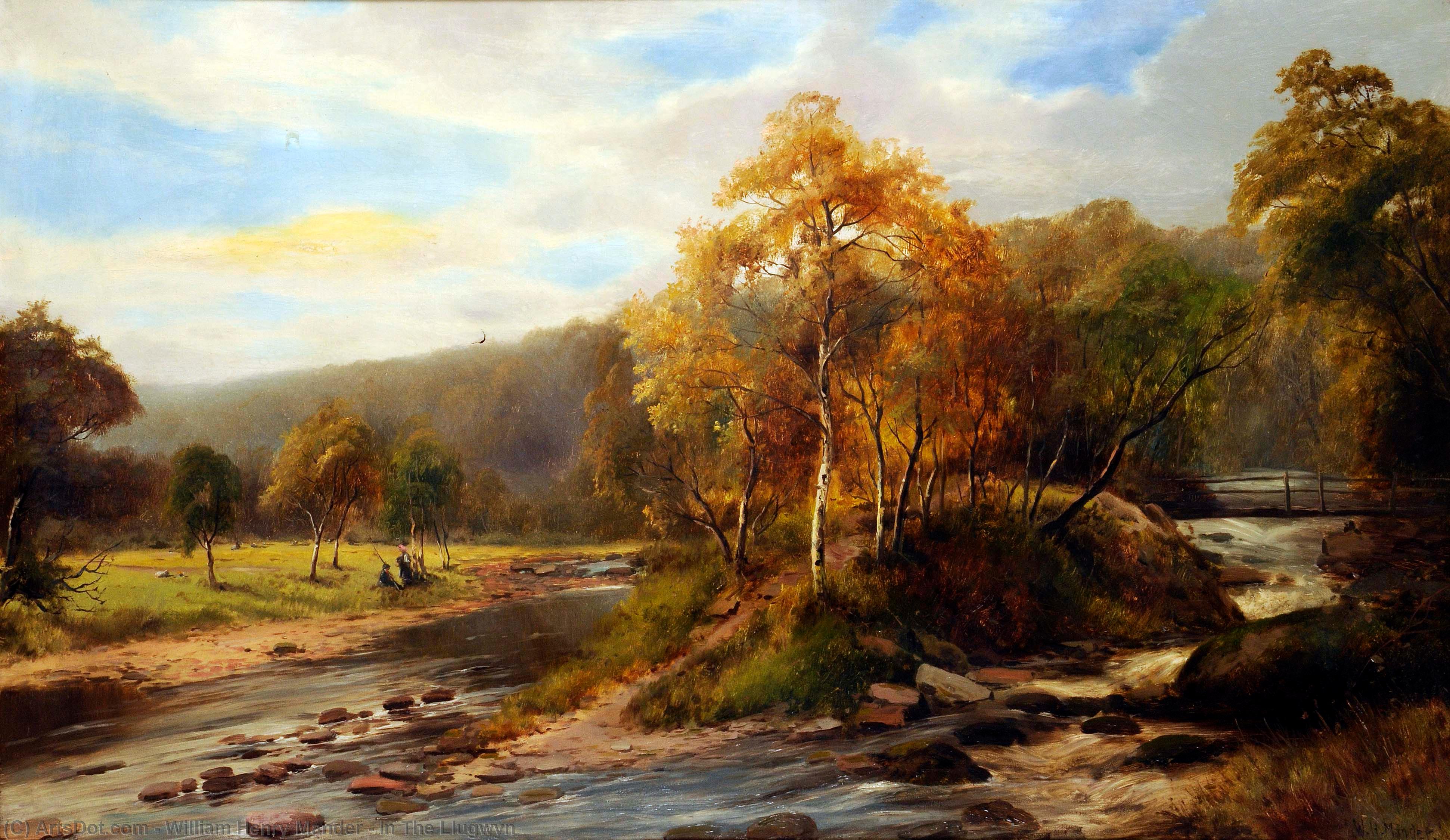 In The Llugwyn — William Henry Mander