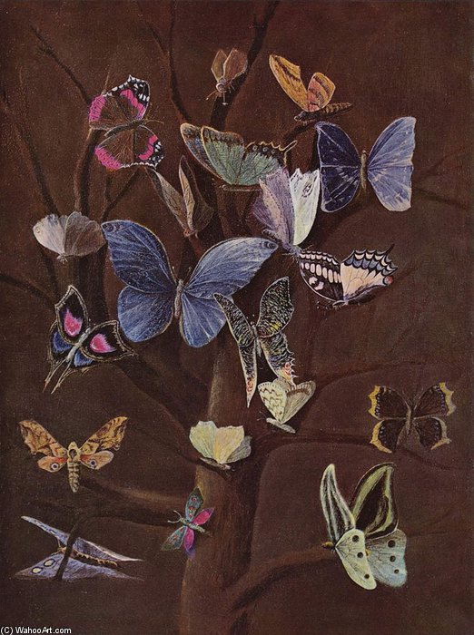 Schmetterlinge — Wilhelm Von Kaulbach