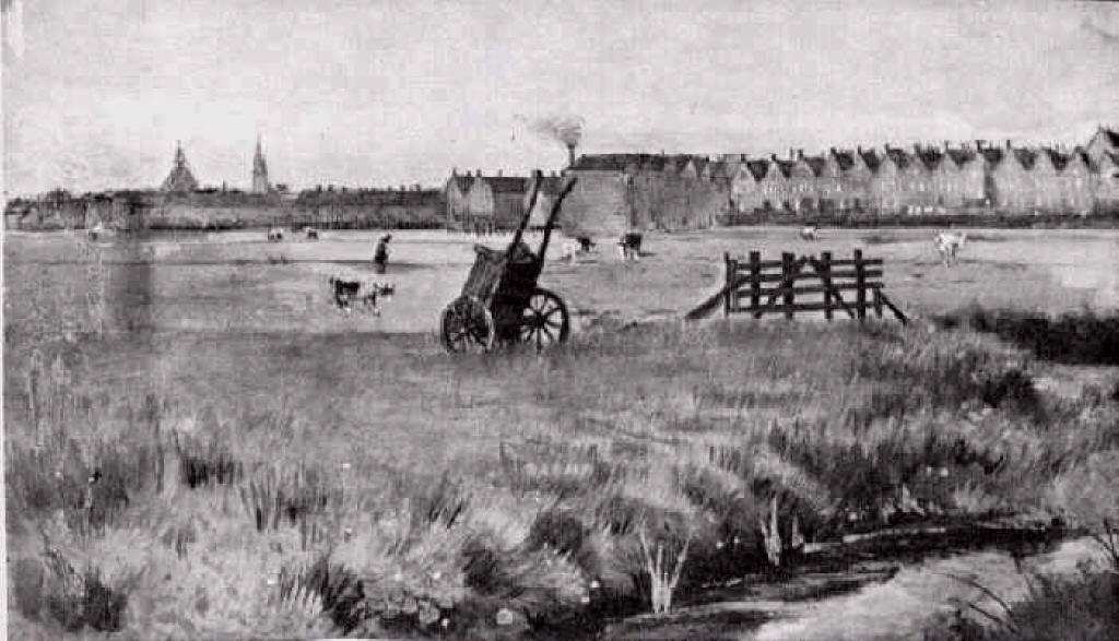 Meadow, In The Background New Church — Vincent Willem Van Gogh
