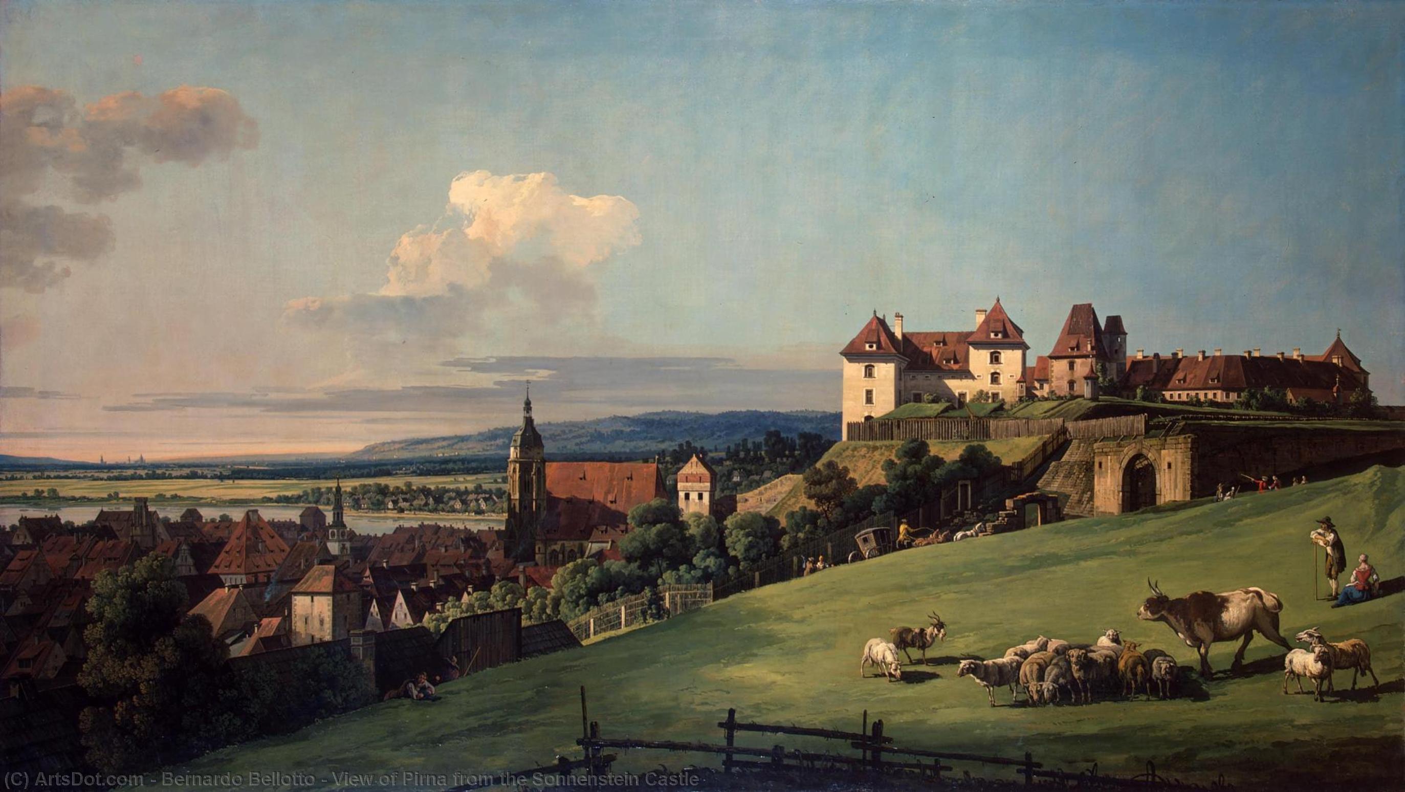 View Of Pirna From The Sonnenstein Castle — Bernardo Bellotto