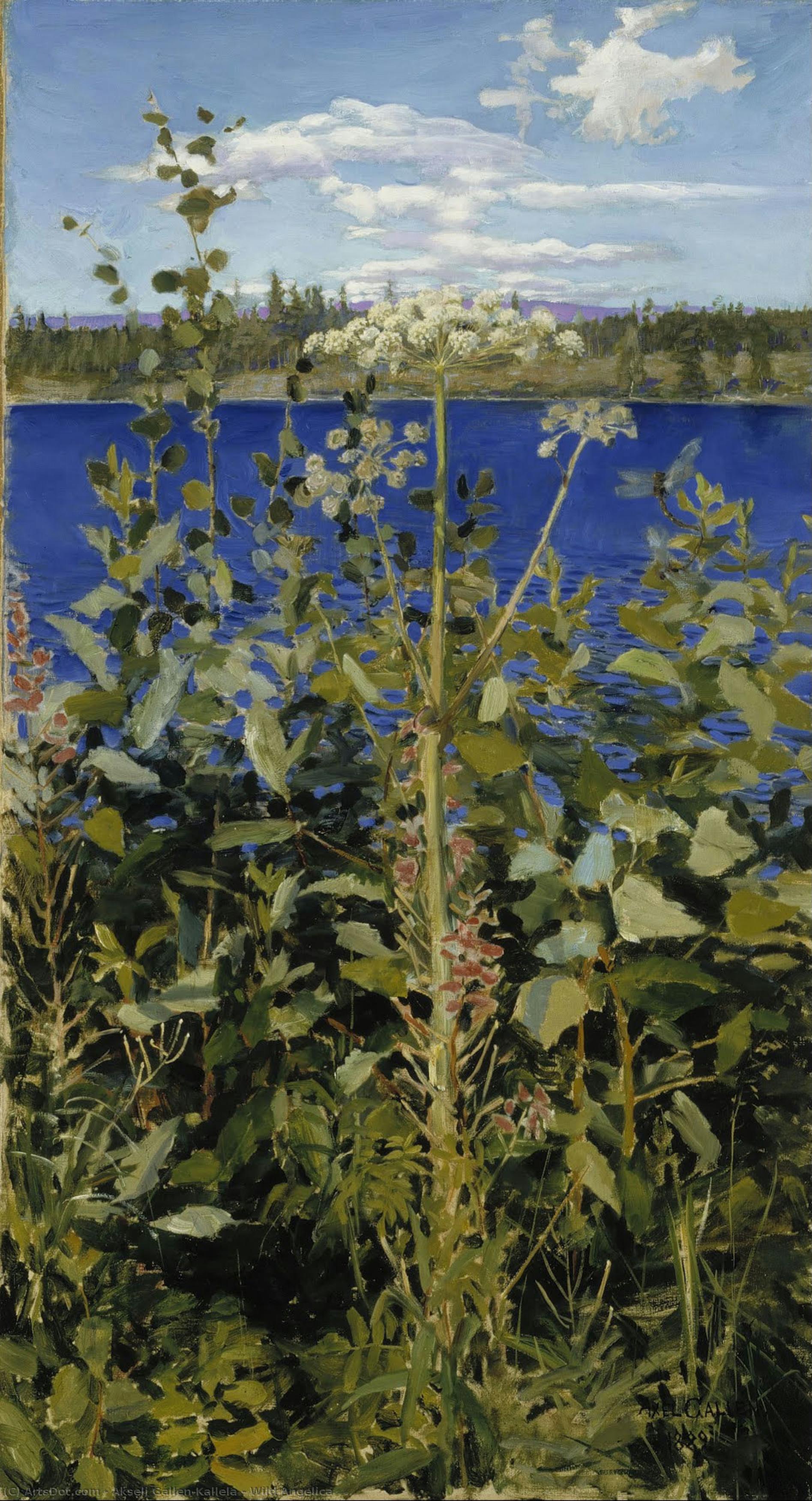 Wild Angelica — Akseli Gallen-kallela