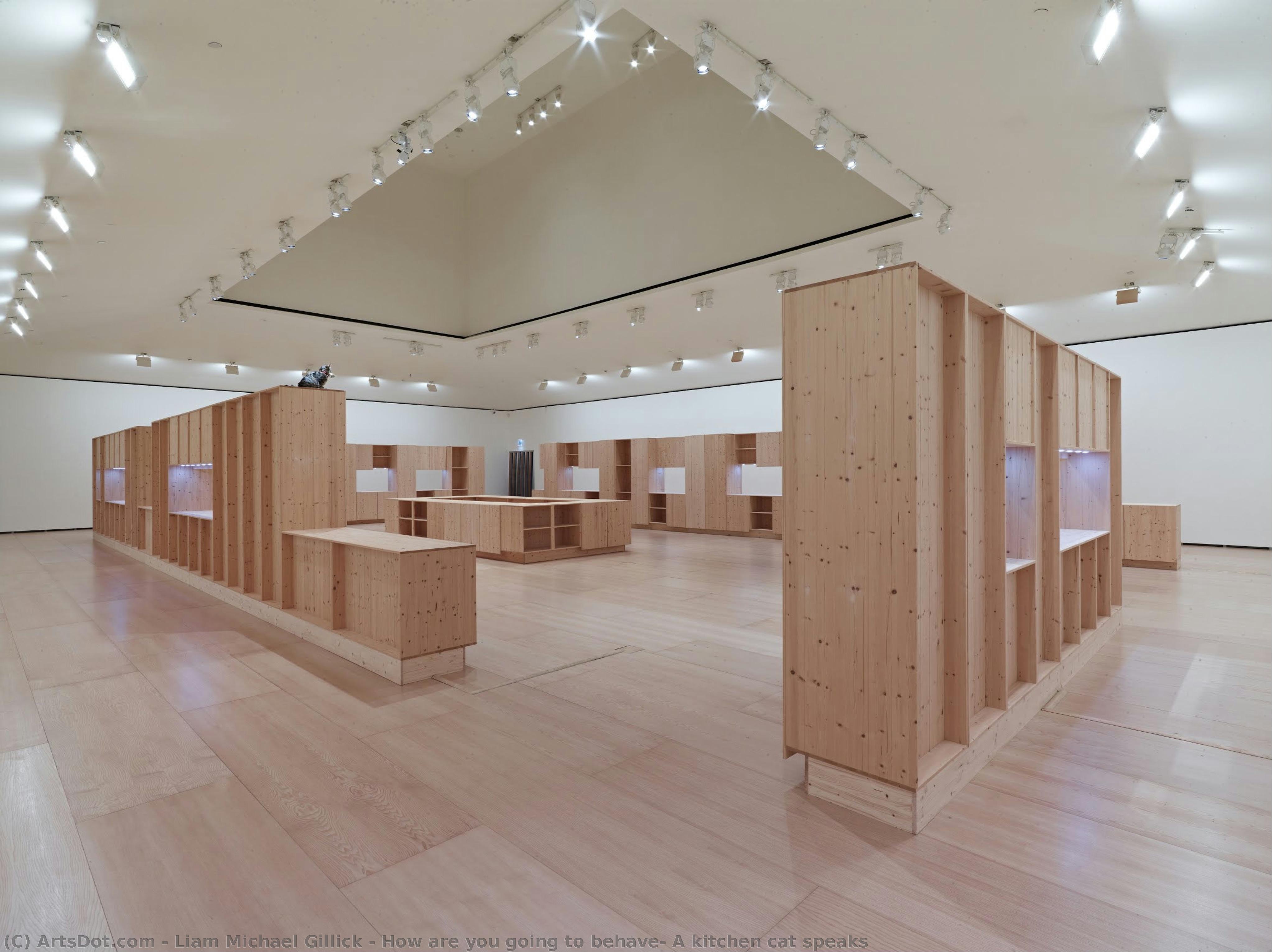 How Are You Going To Behave? A Kitchen Cat Speaks — Liam Michael Gillick