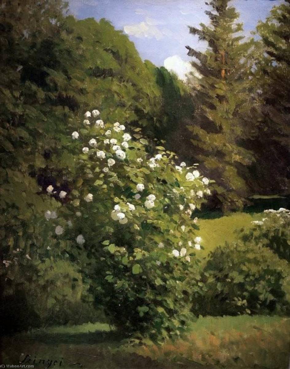 Guelder Rose — Pal Merse Szinyei
