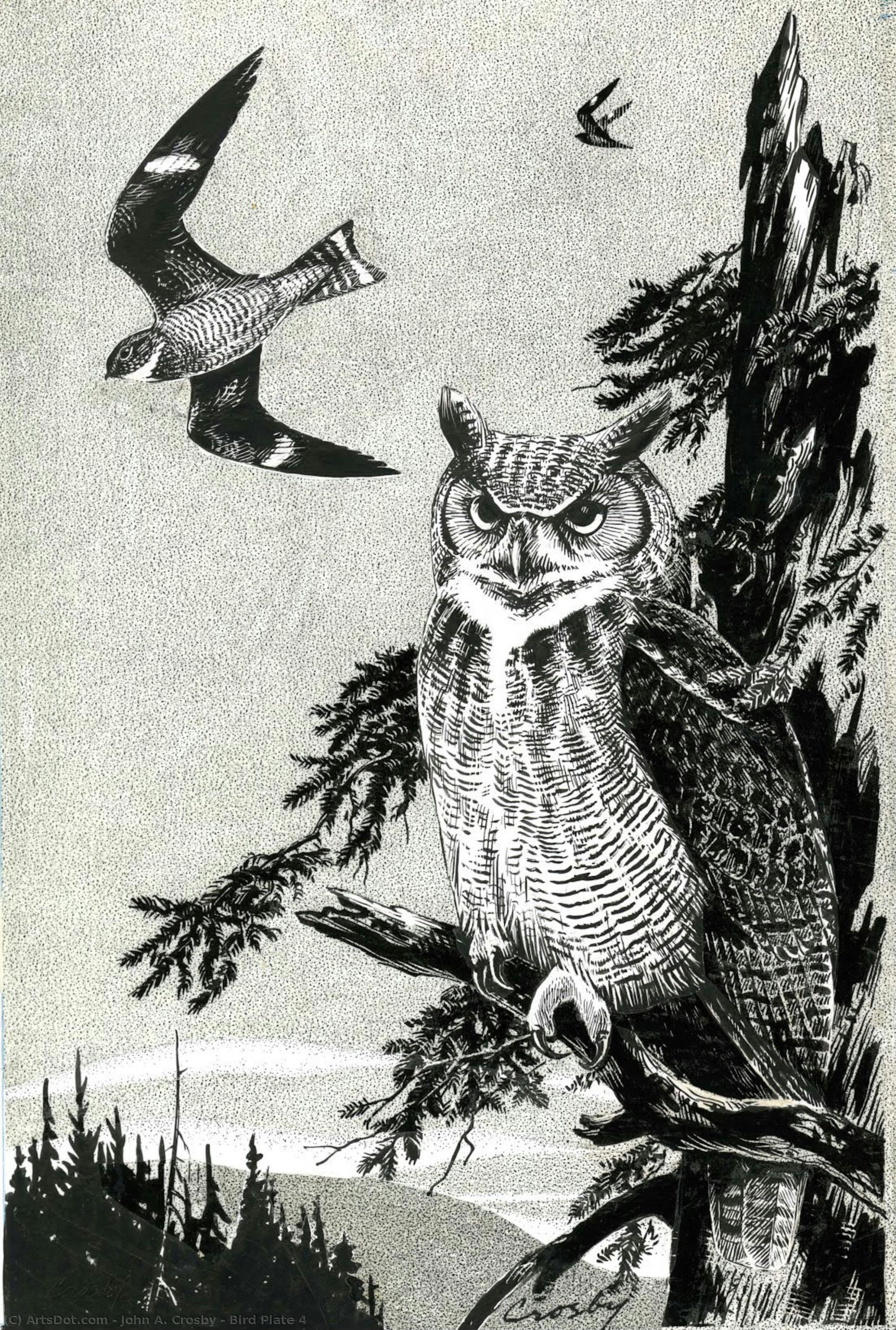 Bird Plate 4 — John A. Crosby