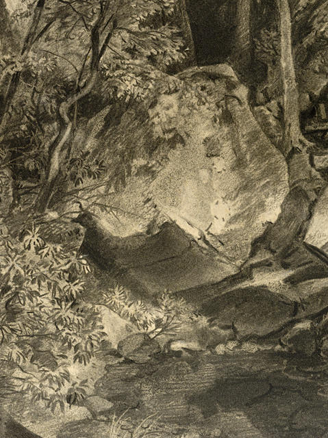 Woodland Interior — William Trost Richards