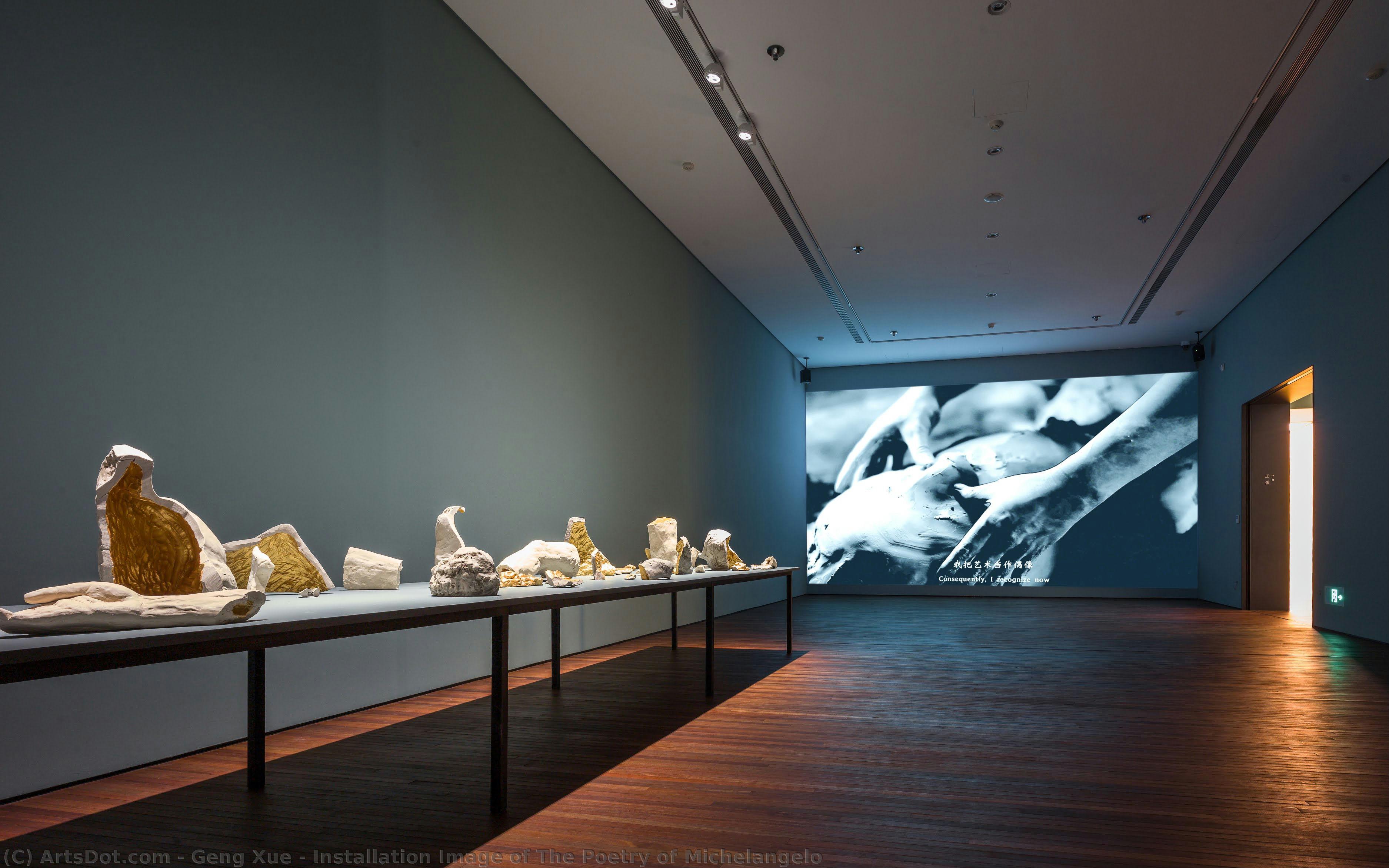 Installation Image Of The Poetry Of Michelangelo — Geng Xue