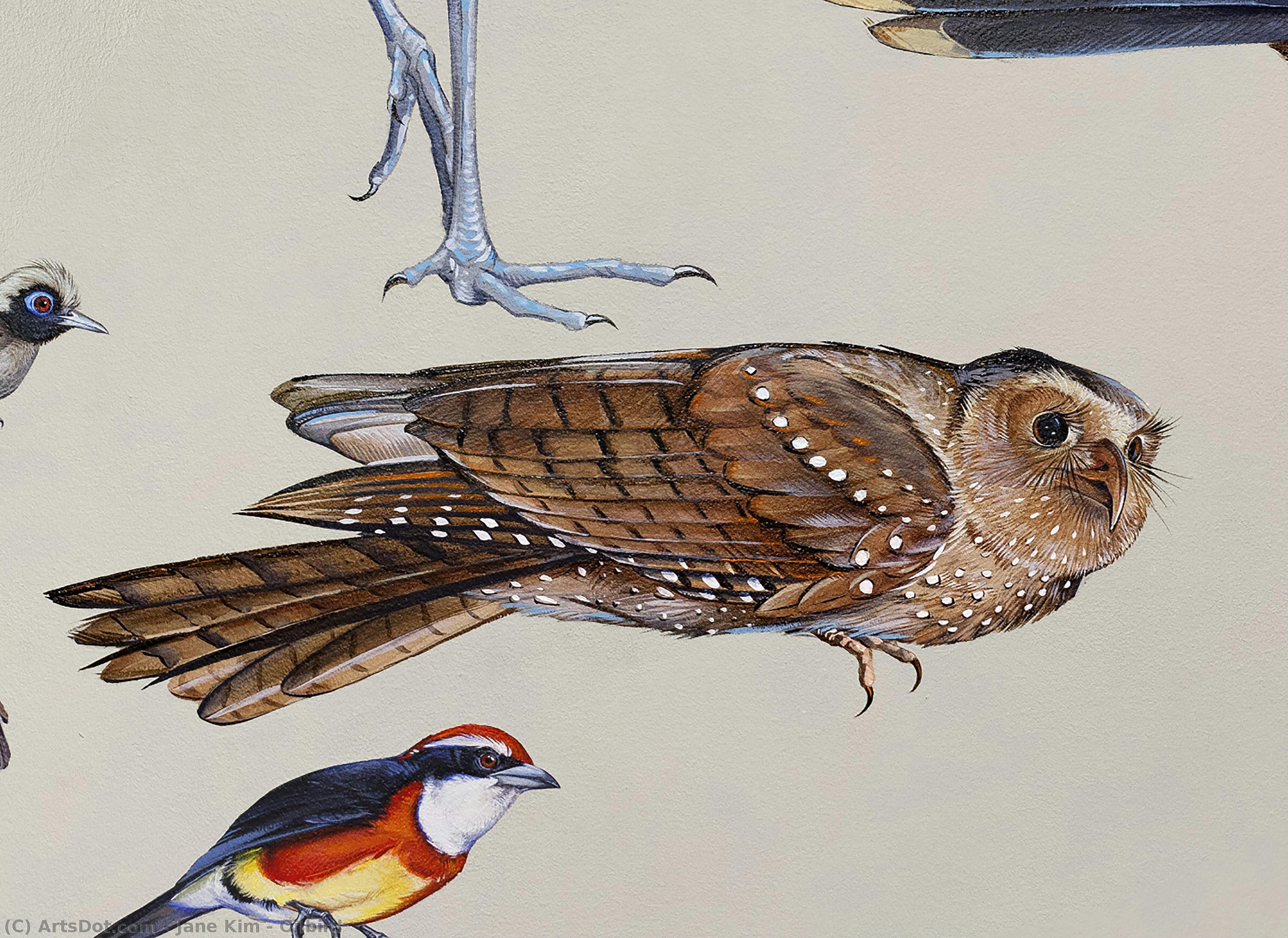 Oilbird — ジェーン・キム