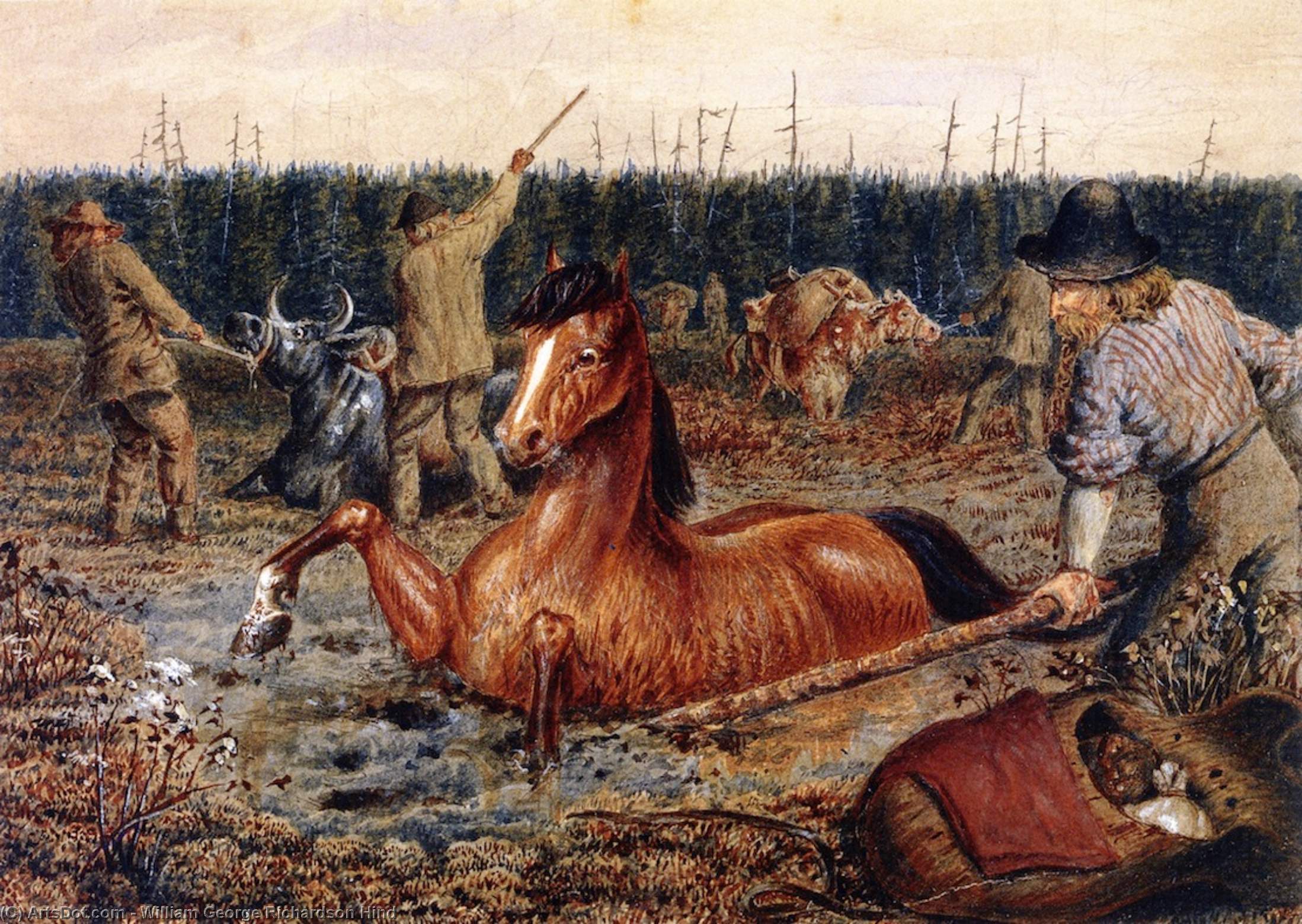 Crossing Swamps Near Head Water, North Saskatchewan — William George Richardson Hind